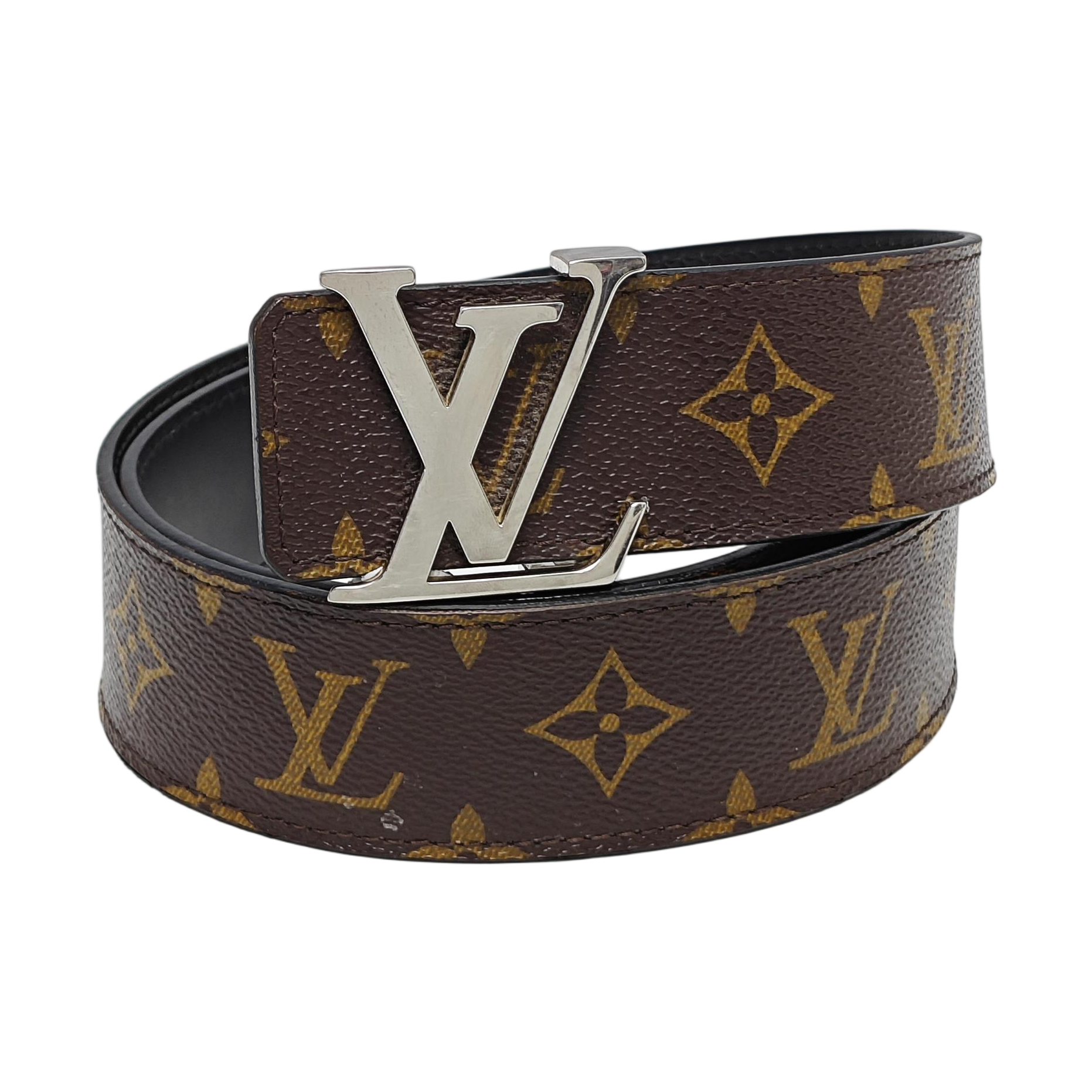 Coated Canvas Belt Brown