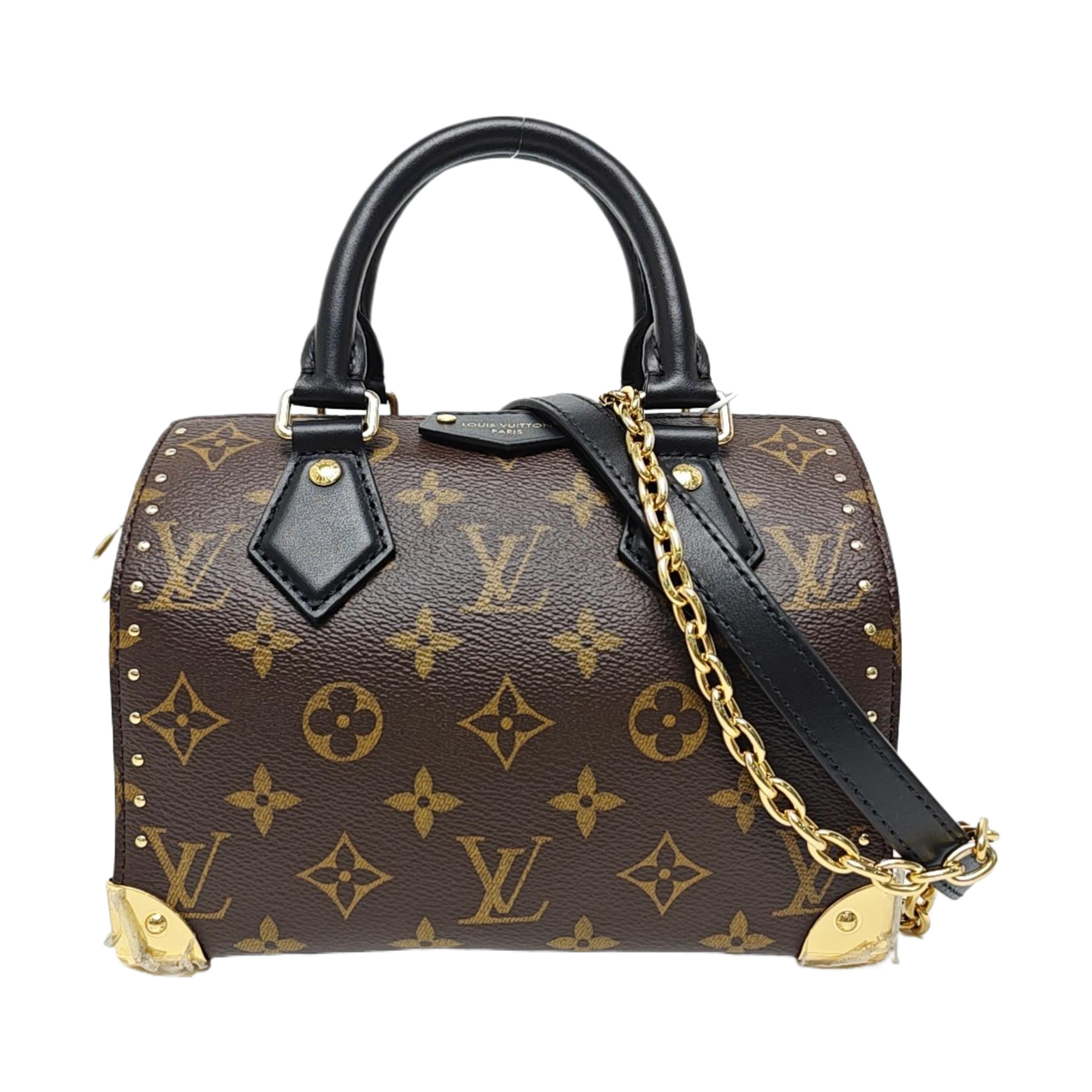 SPEEDY TRUNK 20 Monogram Coated Canvas Brown