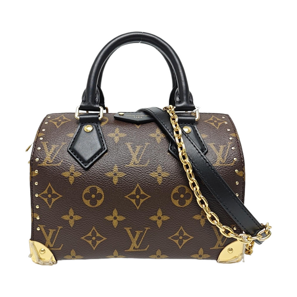 SPEEDY TRUNK 20 Monogram Coated Canvas Brown