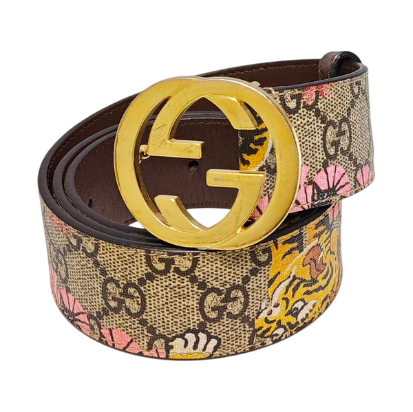 Coated Canvas Belt Brown