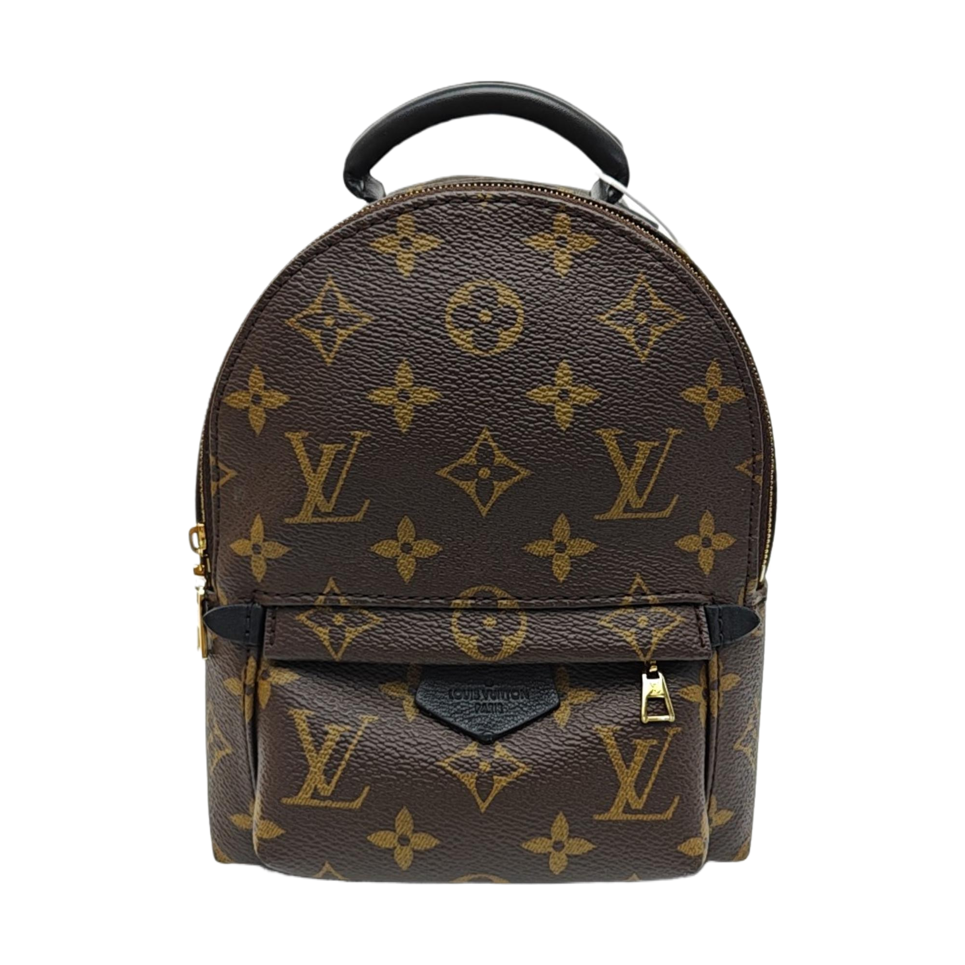 PALM SPRINGS Mini Monogram Coated Canvas Brown