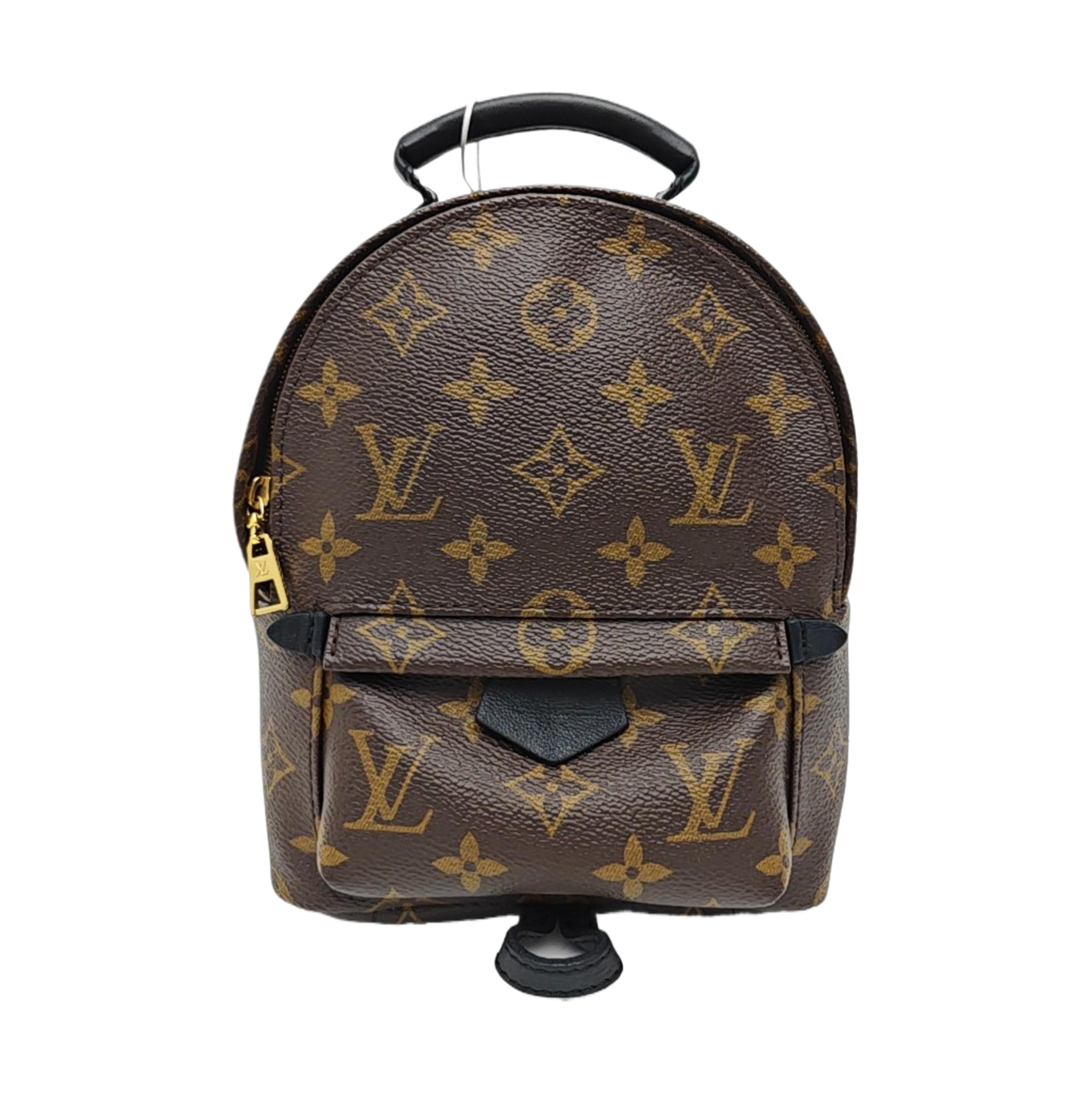 PALM SPRINGS Mini Monogram Coated Canvas Brown
