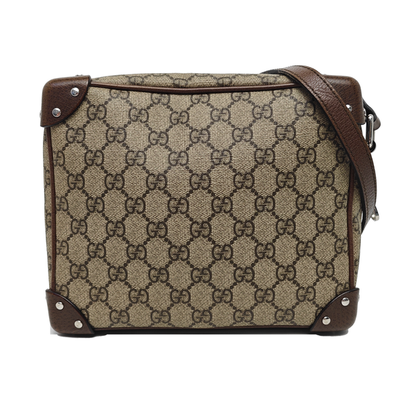 Trunk Monogram Coated Canvas Brown