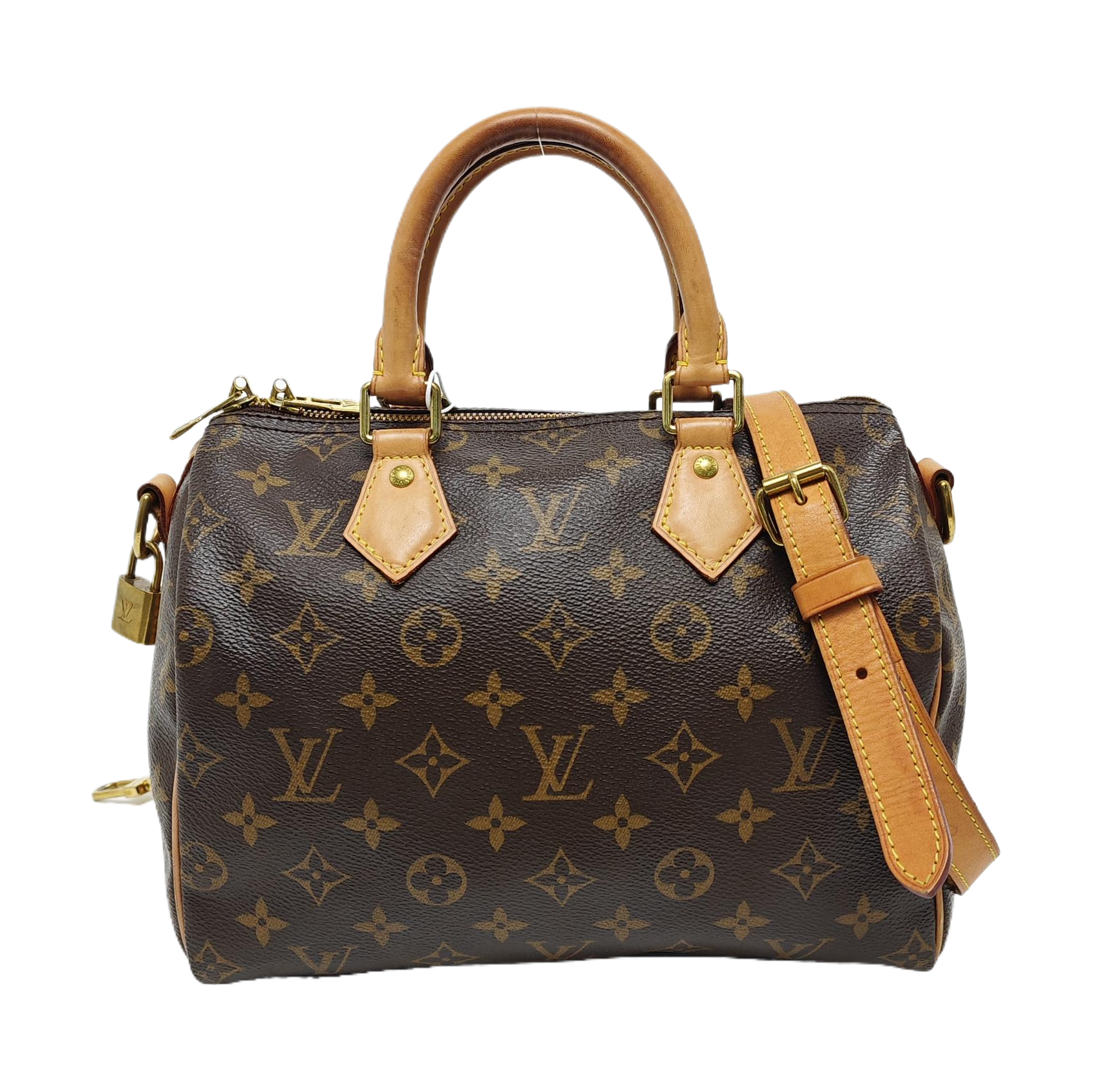 SPEEDY 25 Monogram Coated Canvas Brown