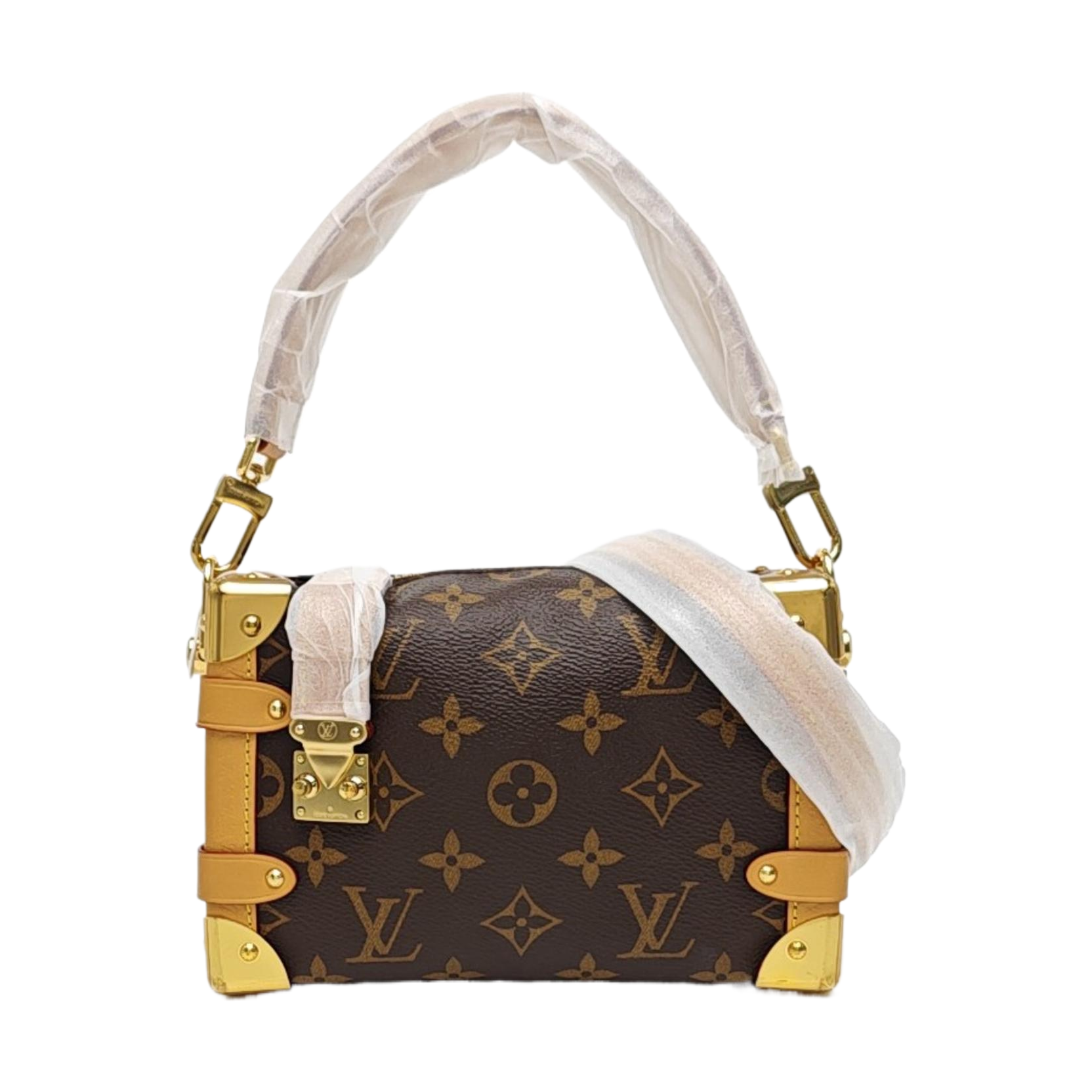 SIDE TRUNK PM Monogram Coated Canvas Brown
