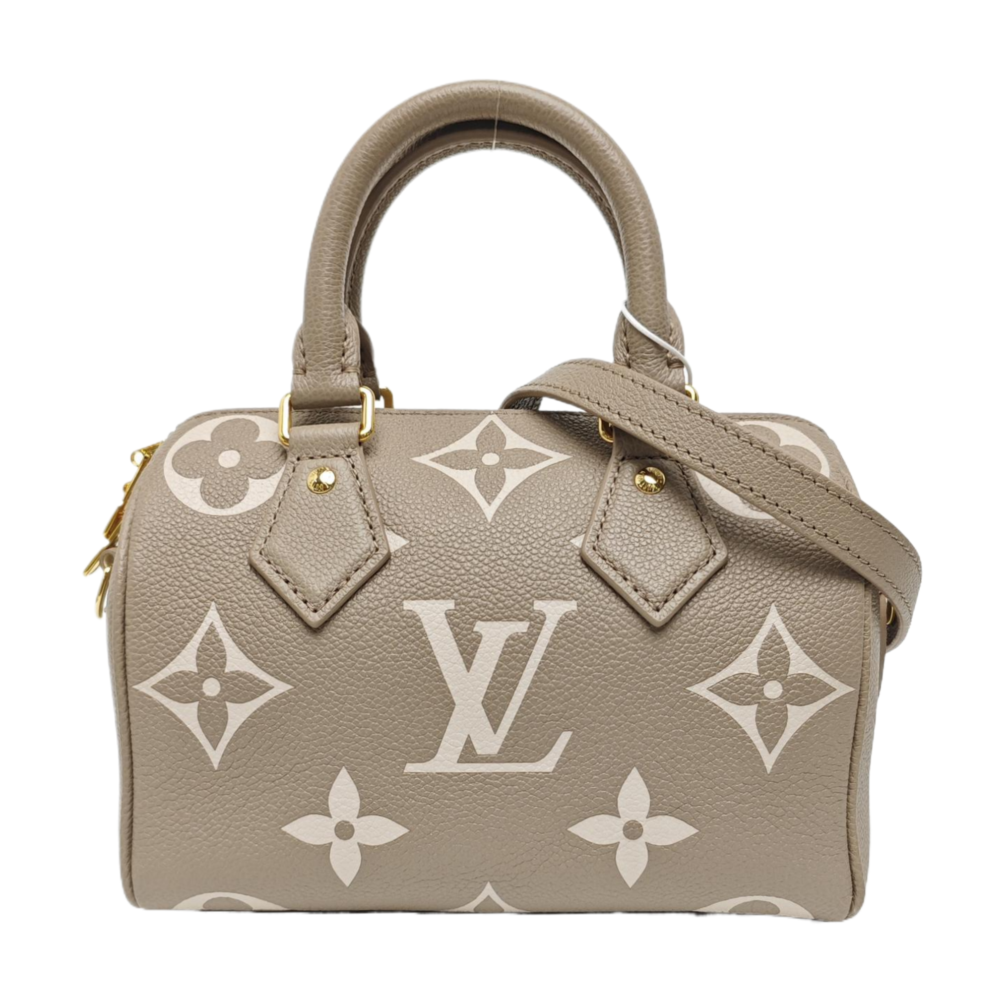 SPEEDY 20 Monogram Calfskin Gray