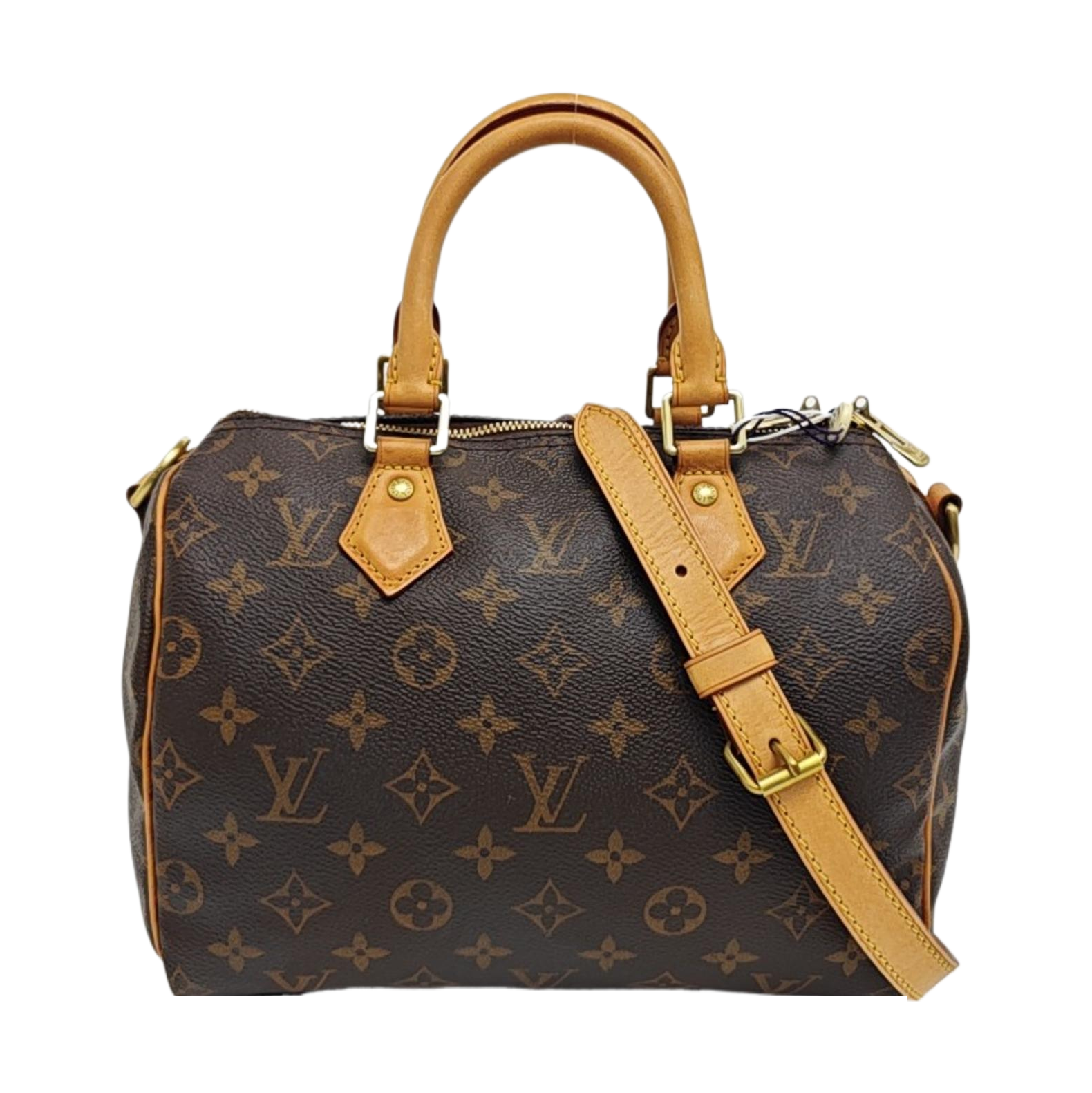 SPEEDY 25 Monogram Coated Canvas Brown