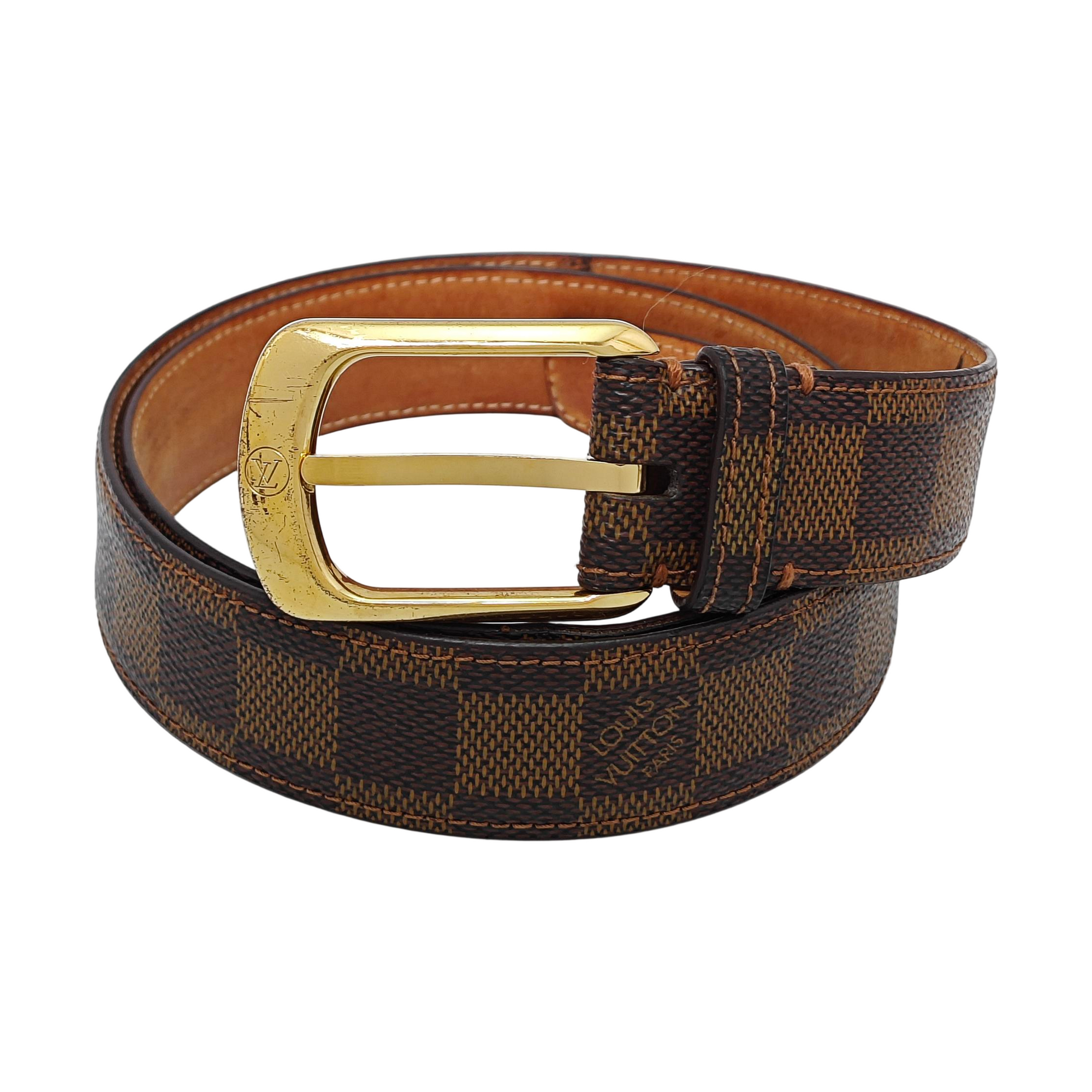 Coated Canvas Belt Brown