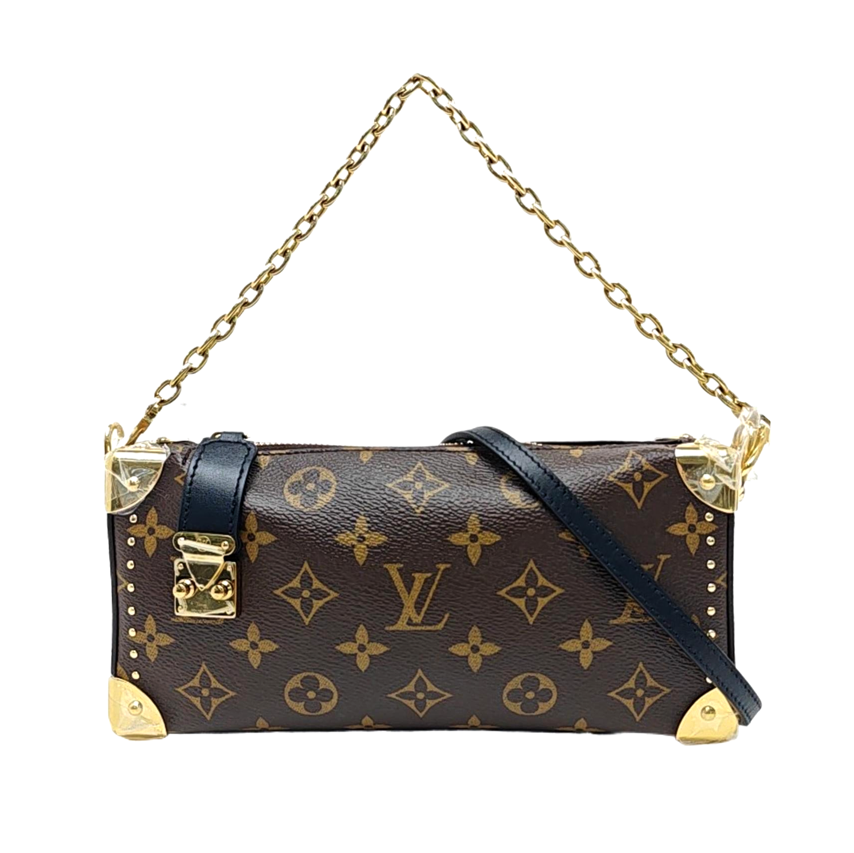 SLIM TRUNK Monogram Coated Canvas Brown