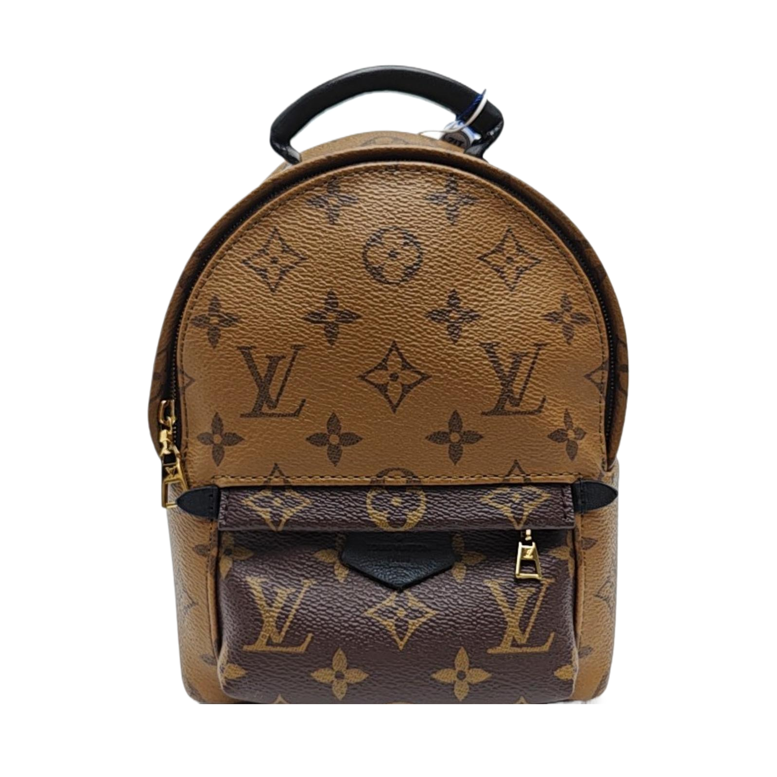 PALM SPRINGS Mini Monogram Coated Canvas Brown