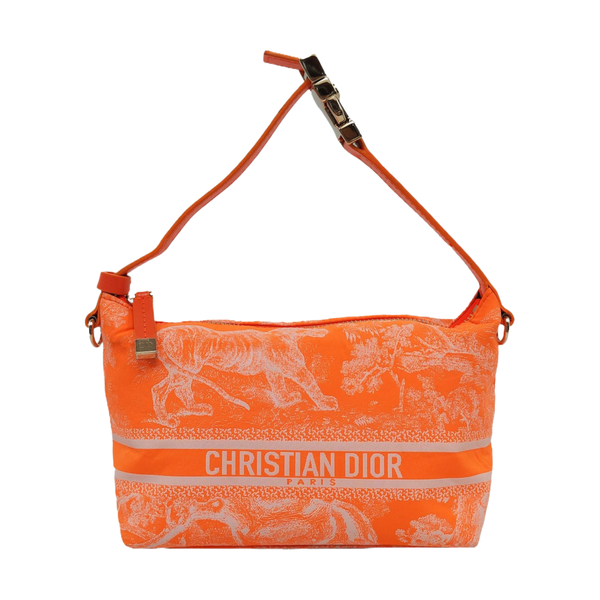 Diortravel Nomad Fabric Orange