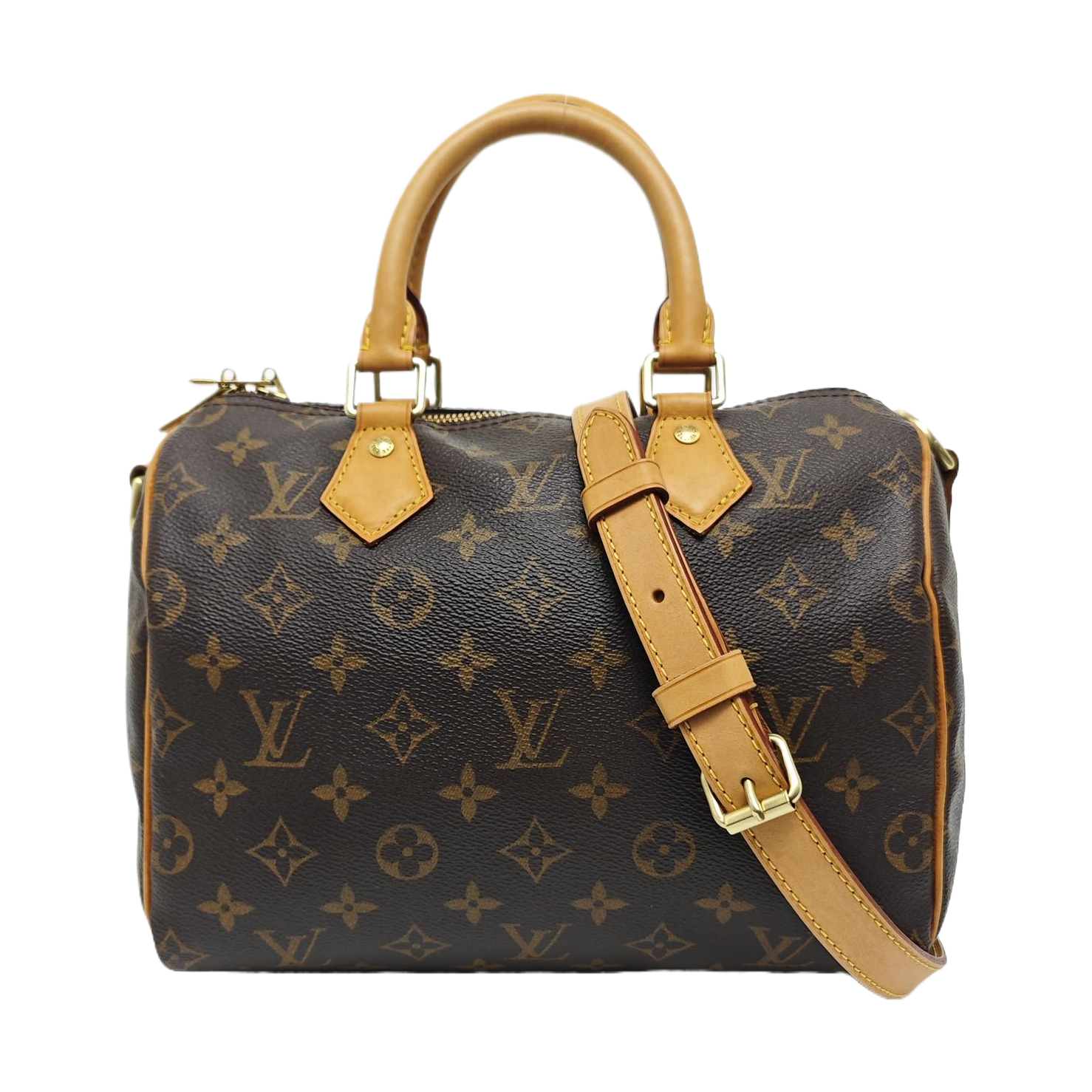 SPEEDY 25 Monogram Coated Canvas Brown