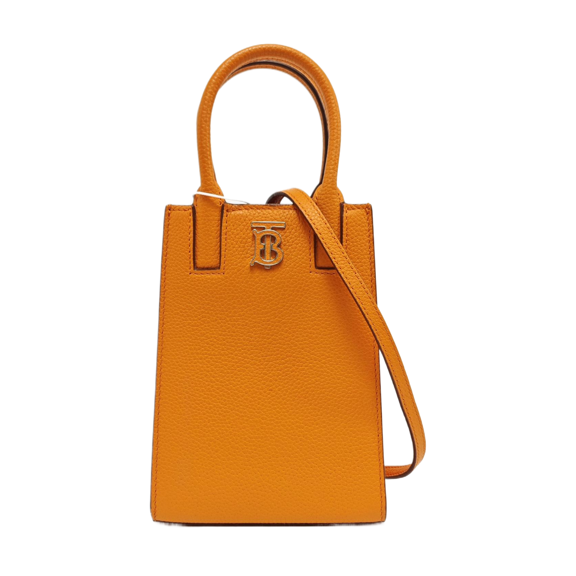 Frances Extra Small Calfskin Orange