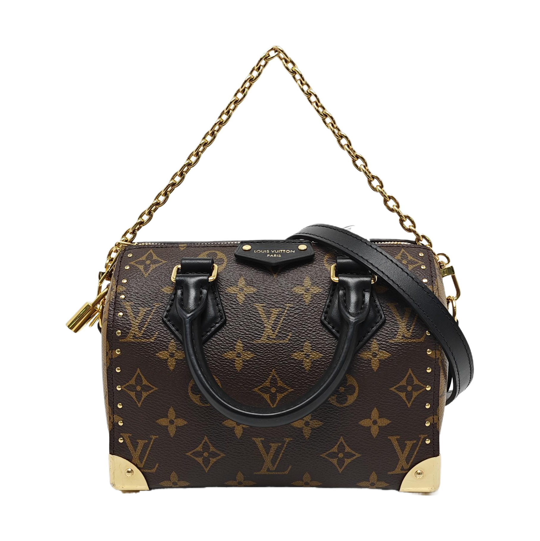 SPEEDY TRUNK 20 Monogram Coated Canvas Brown