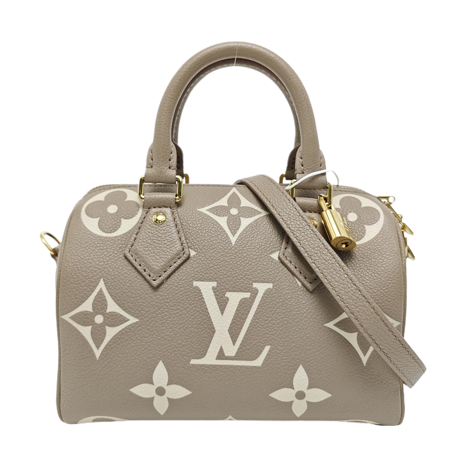 SPEEDY 20 Monogram Calfskin Gray