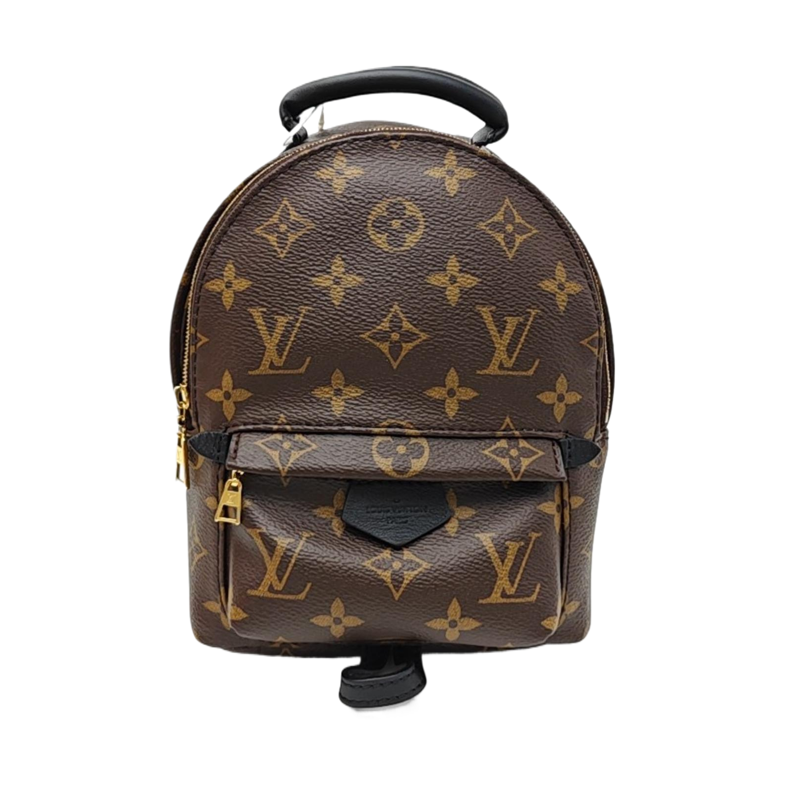 PALM SPRINGS Mini Monogram Coated Canvas Brown