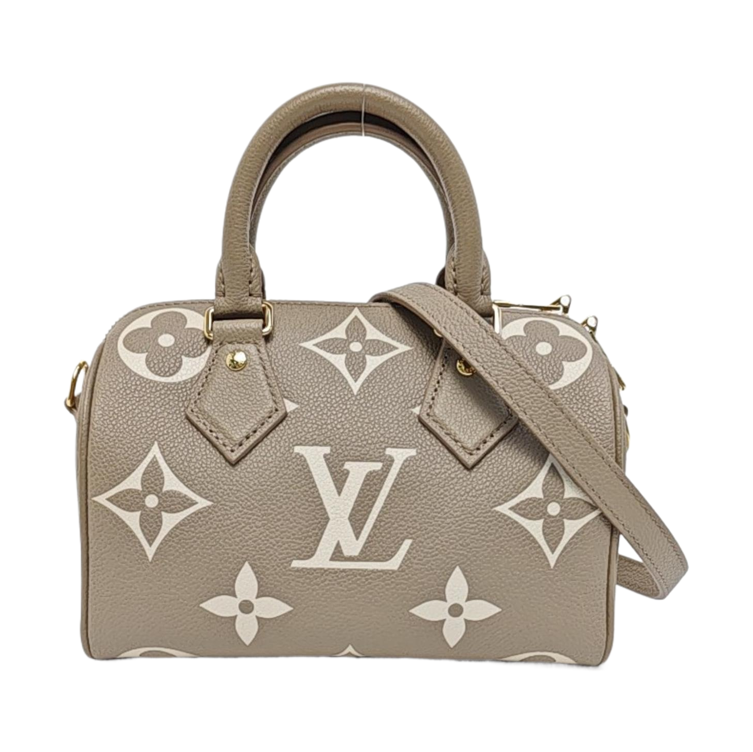 SPEEDY 20 Monogram Calfskin Gray