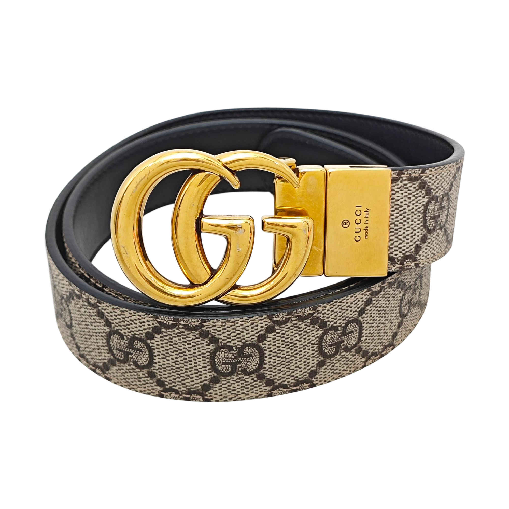 Coated Canvas Belt Brown