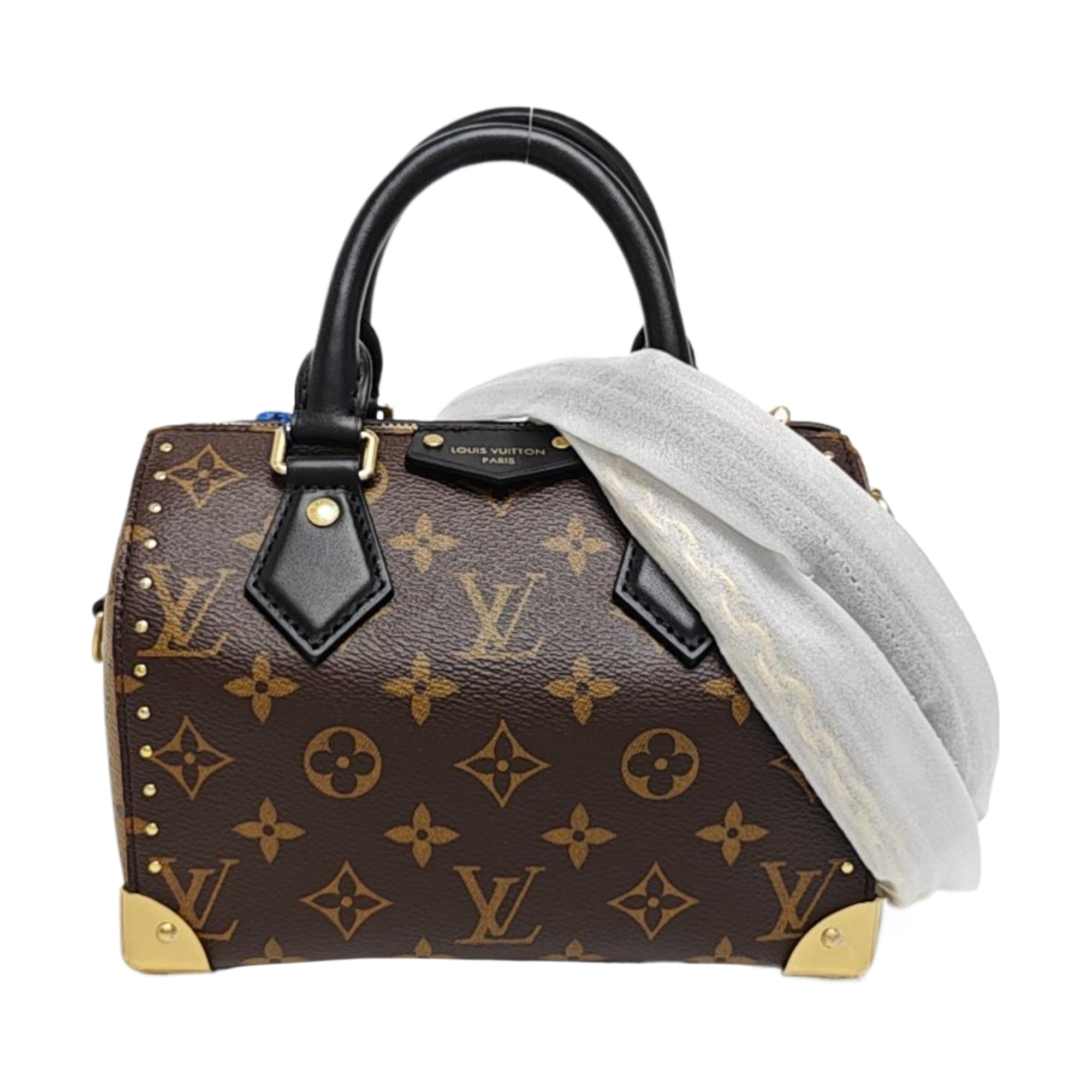 SPEEDY TRUNK 20 Monogram Coated Canvas Brown