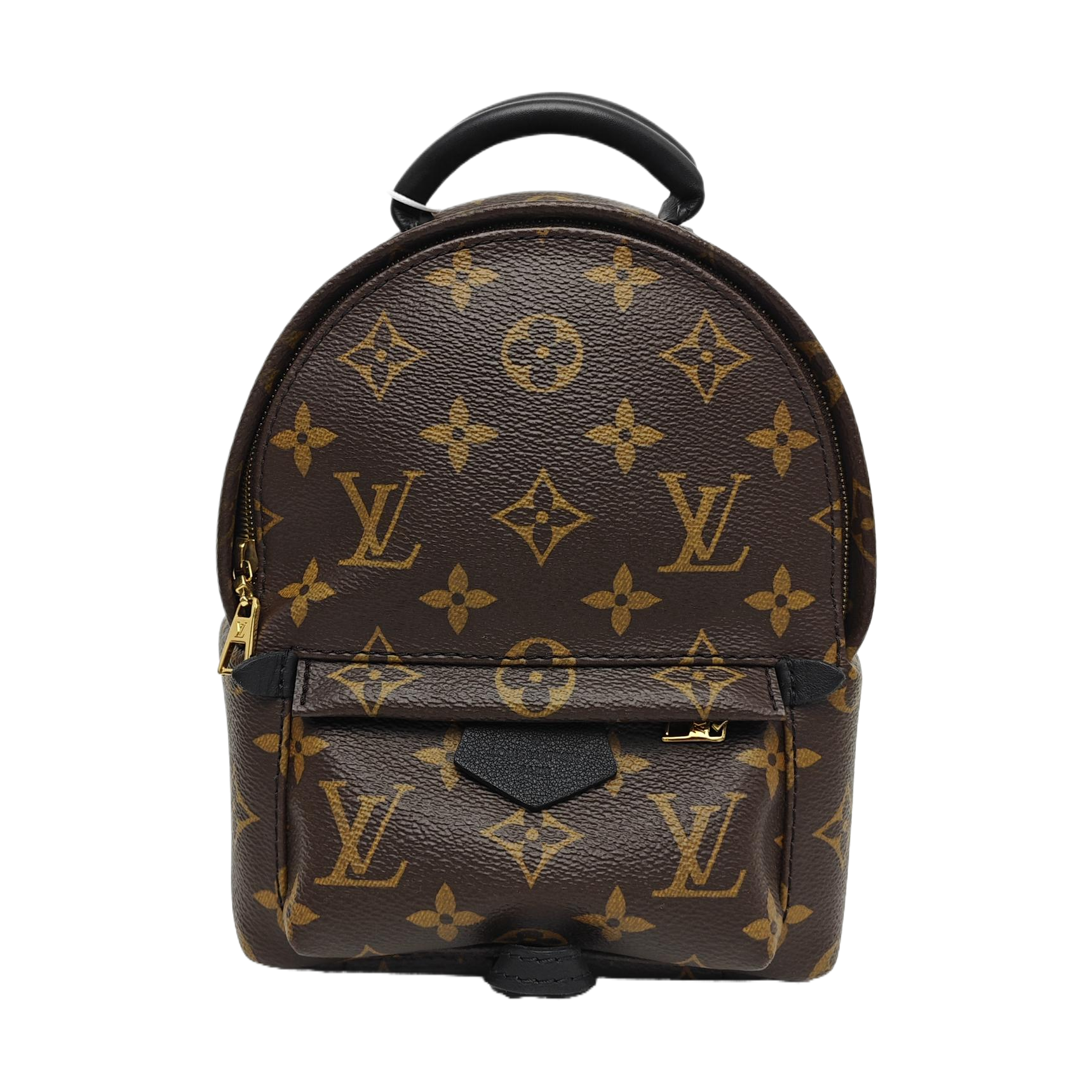 PALM SPRINGS Mini Monogram Coated Canvas Brown