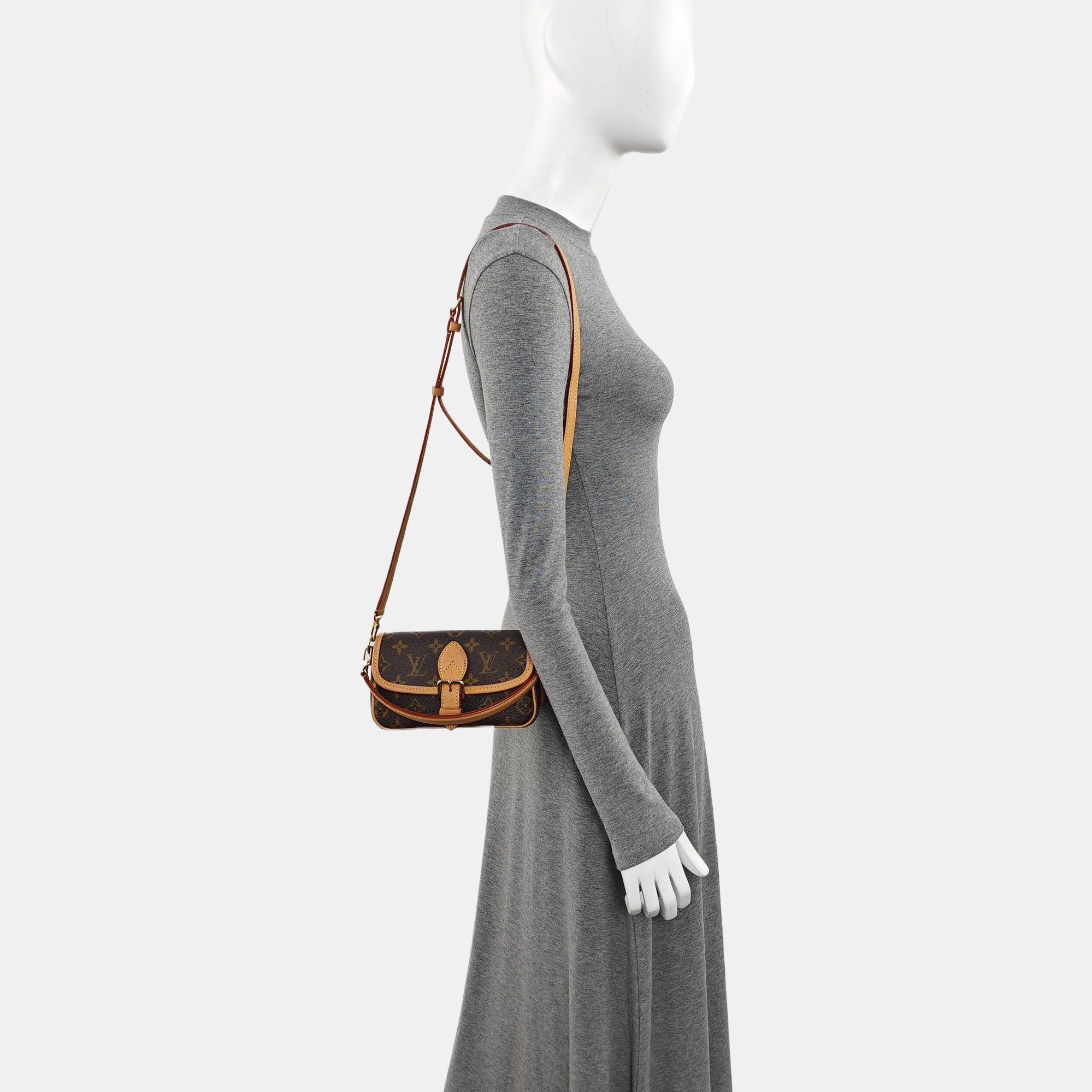 DIANE Nano Monogram Coated Canvas Brown