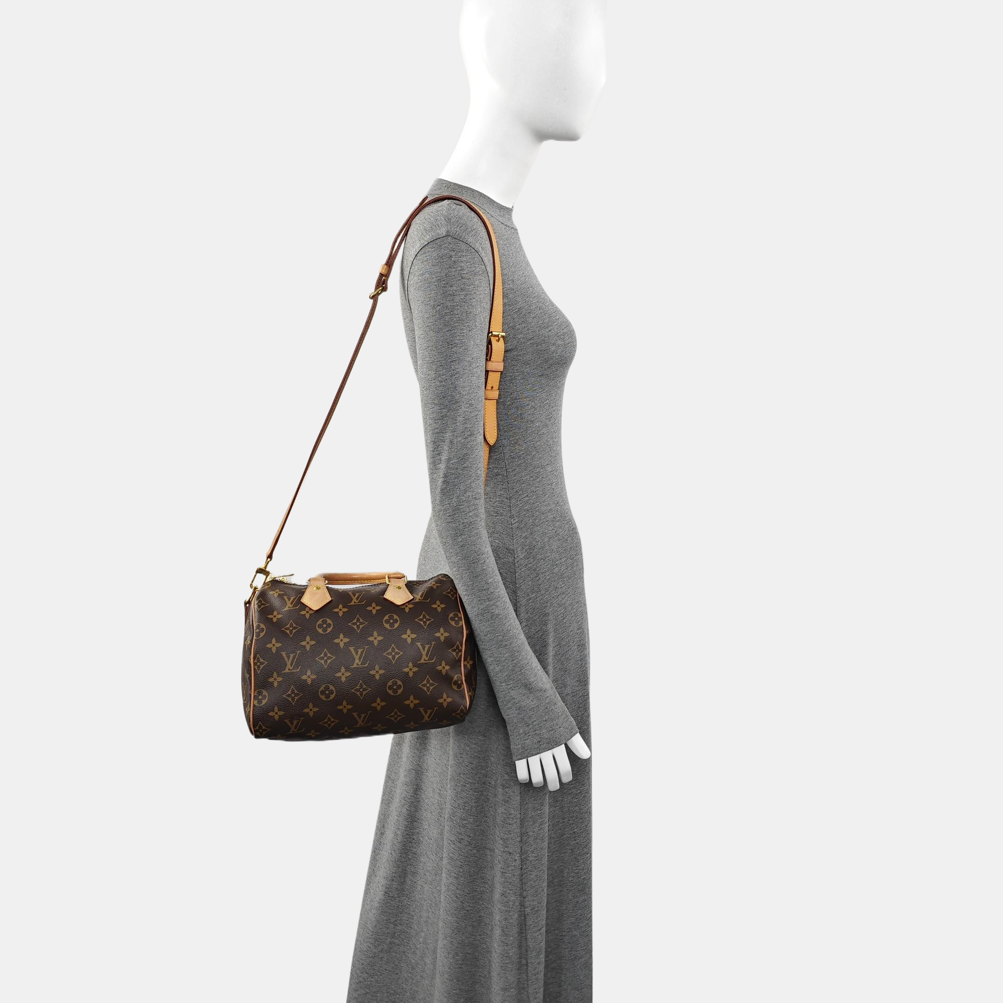 SPEEDY 25 Monogram Coated Canvas Brown