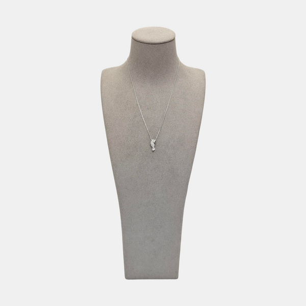 PANTHÈRE DE CARTIER 18k White Gold Silver Necklace