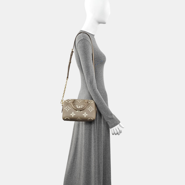 SPEEDY 20 Monogram Calfskin Gray