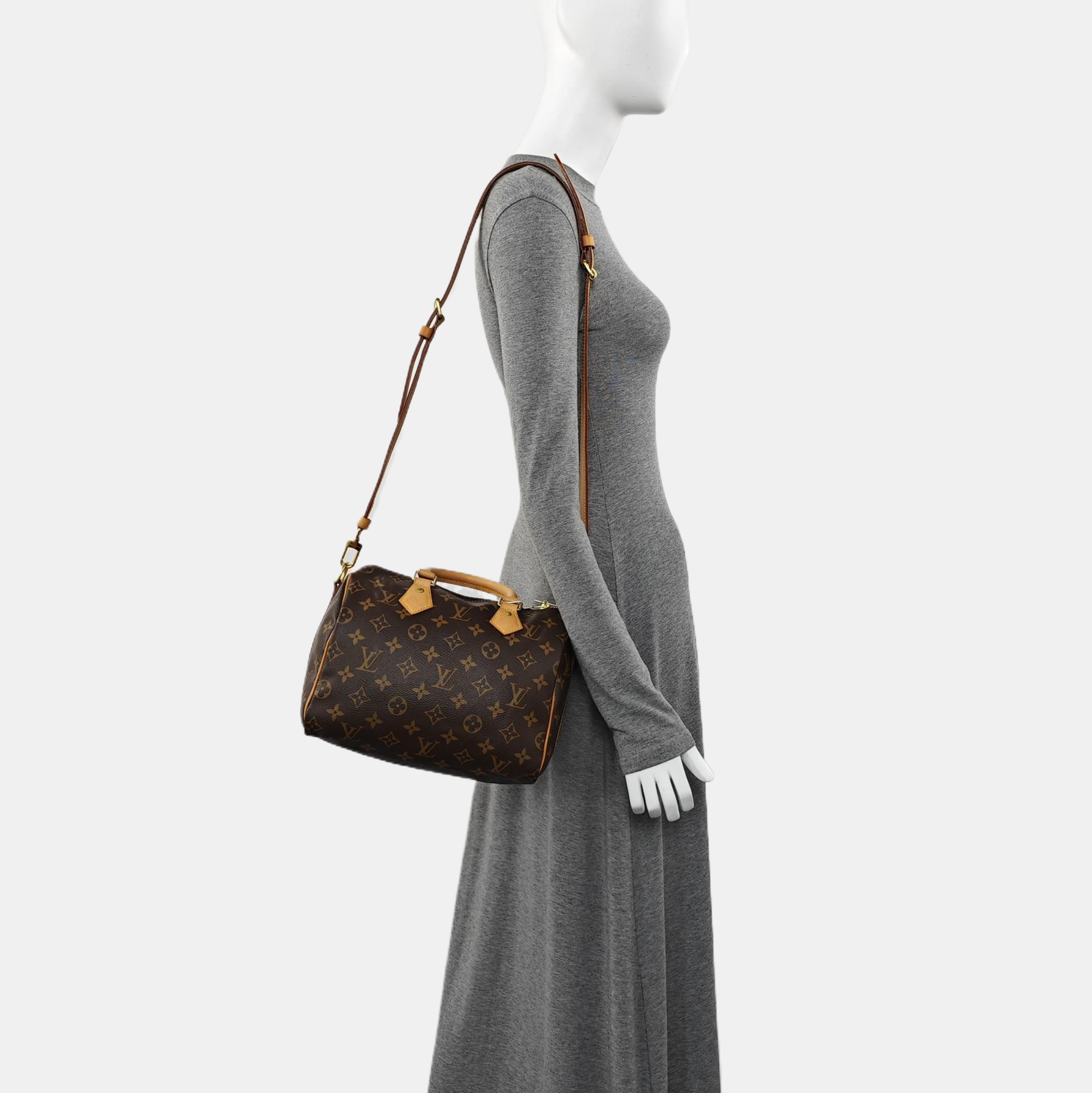SPEEDY 25 Monogram Coated Canvas Brown