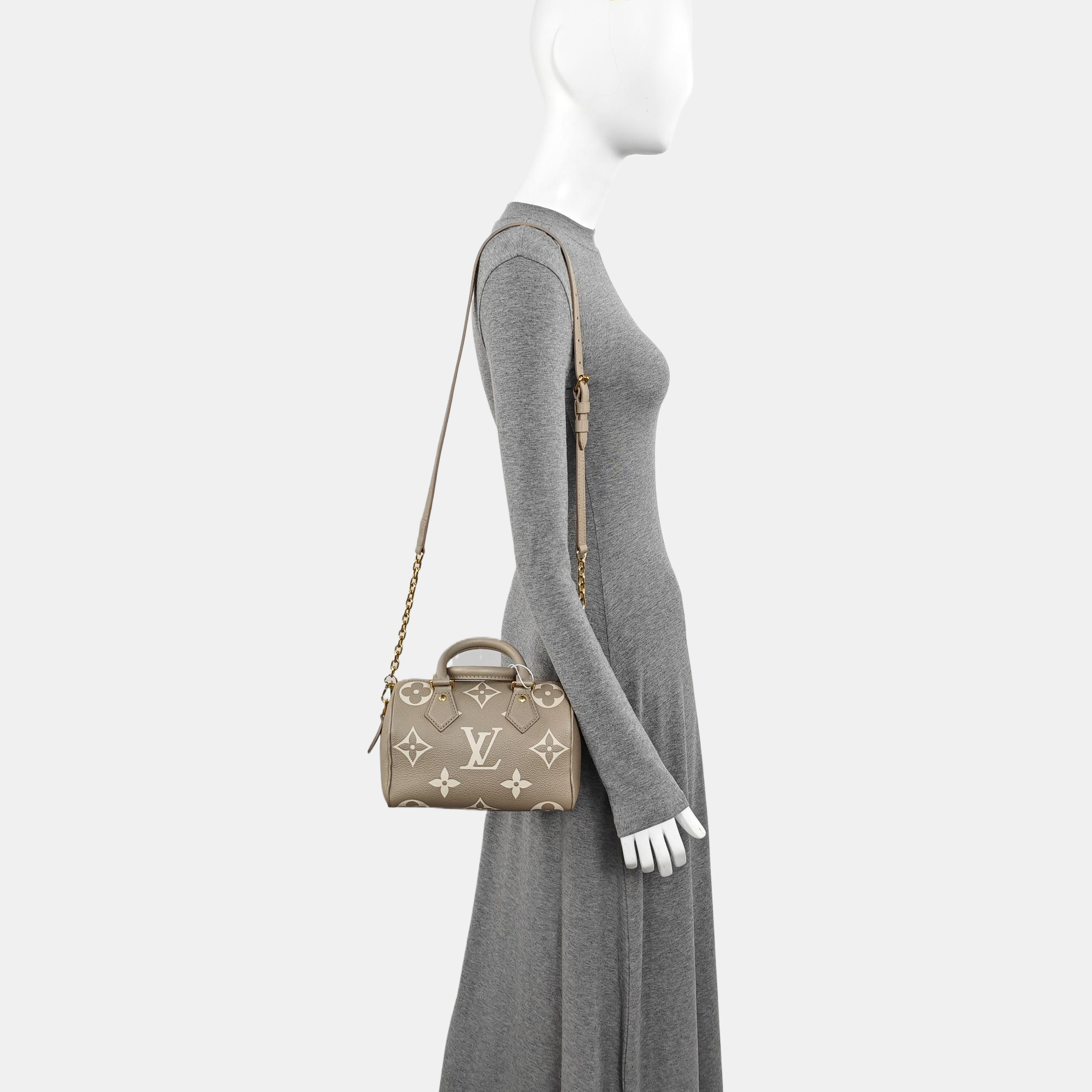 SPEEDY 20 Monogram Calfskin Gray