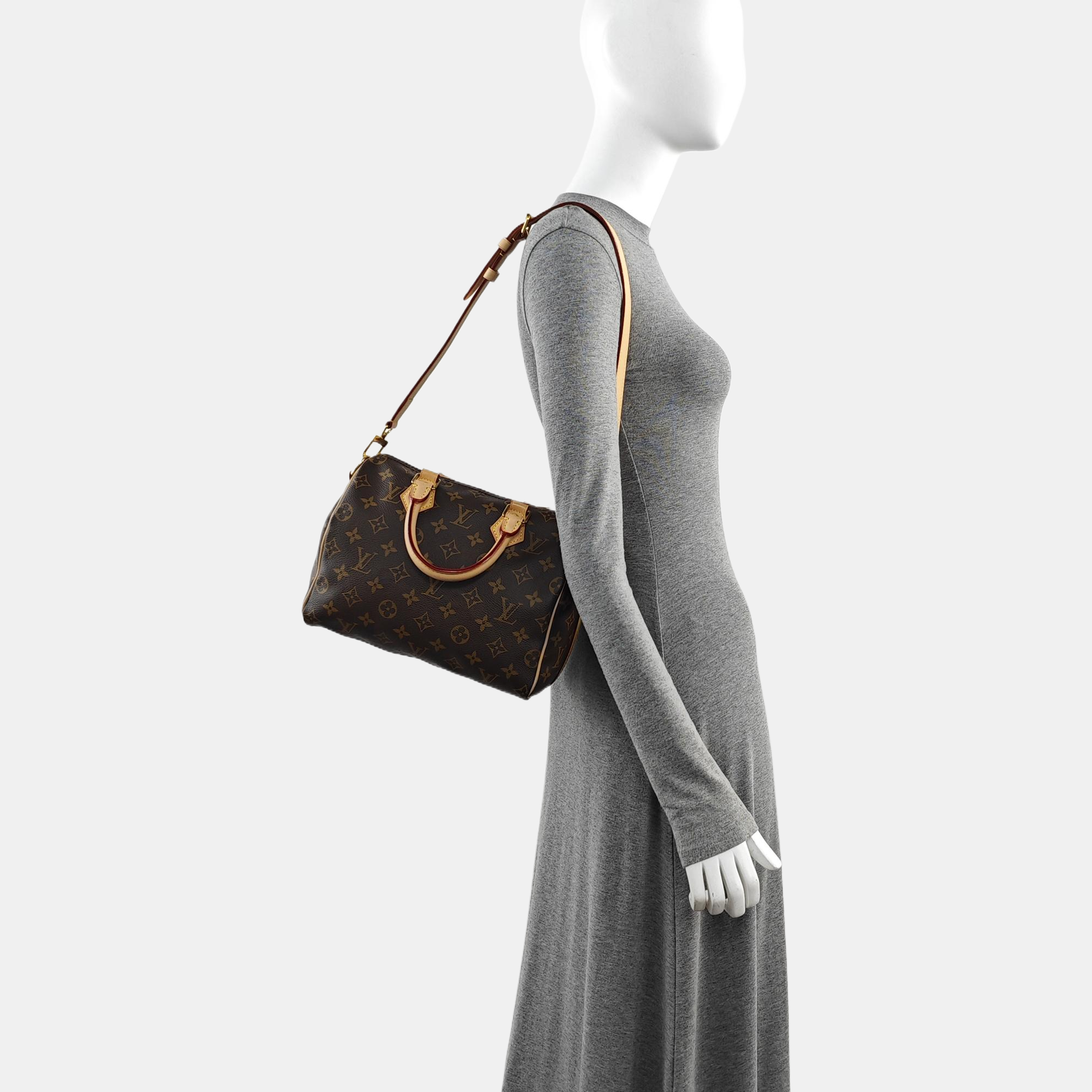 SPEEDY 25 Monogram Coated Canvas Brown