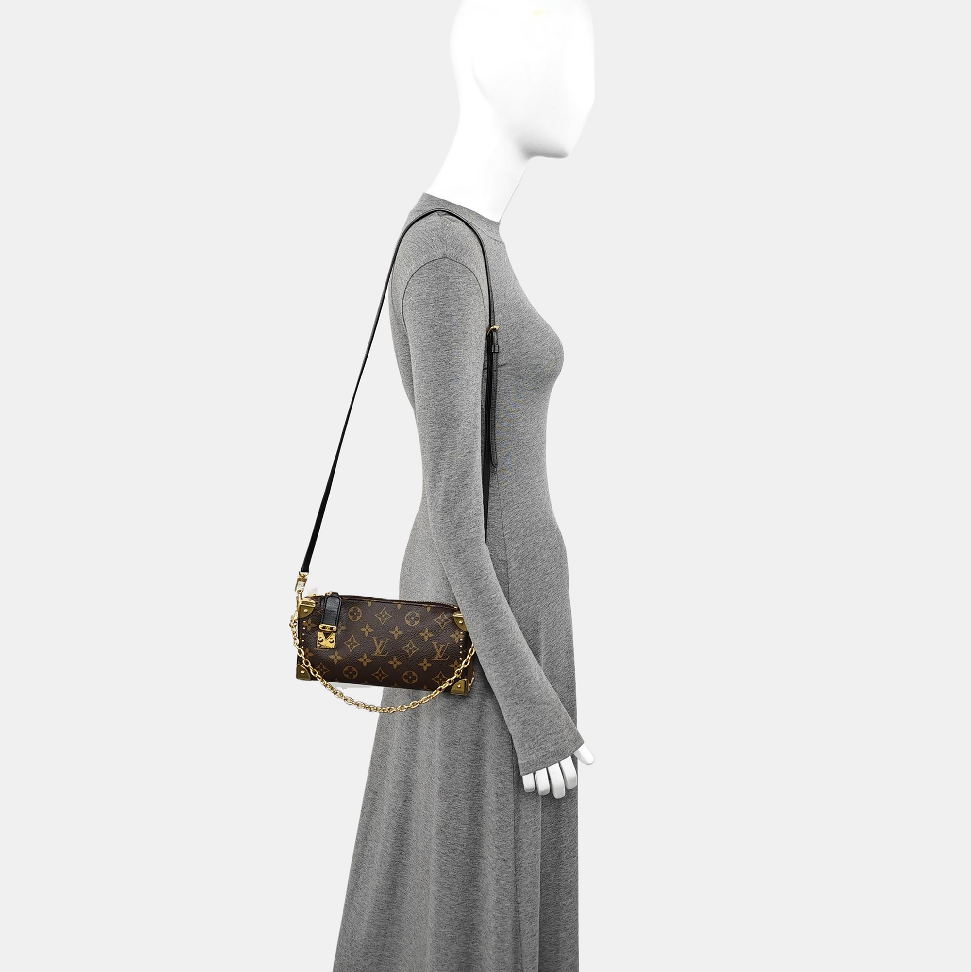 SLIM TRUNK Monogram Coated Canvas Brown