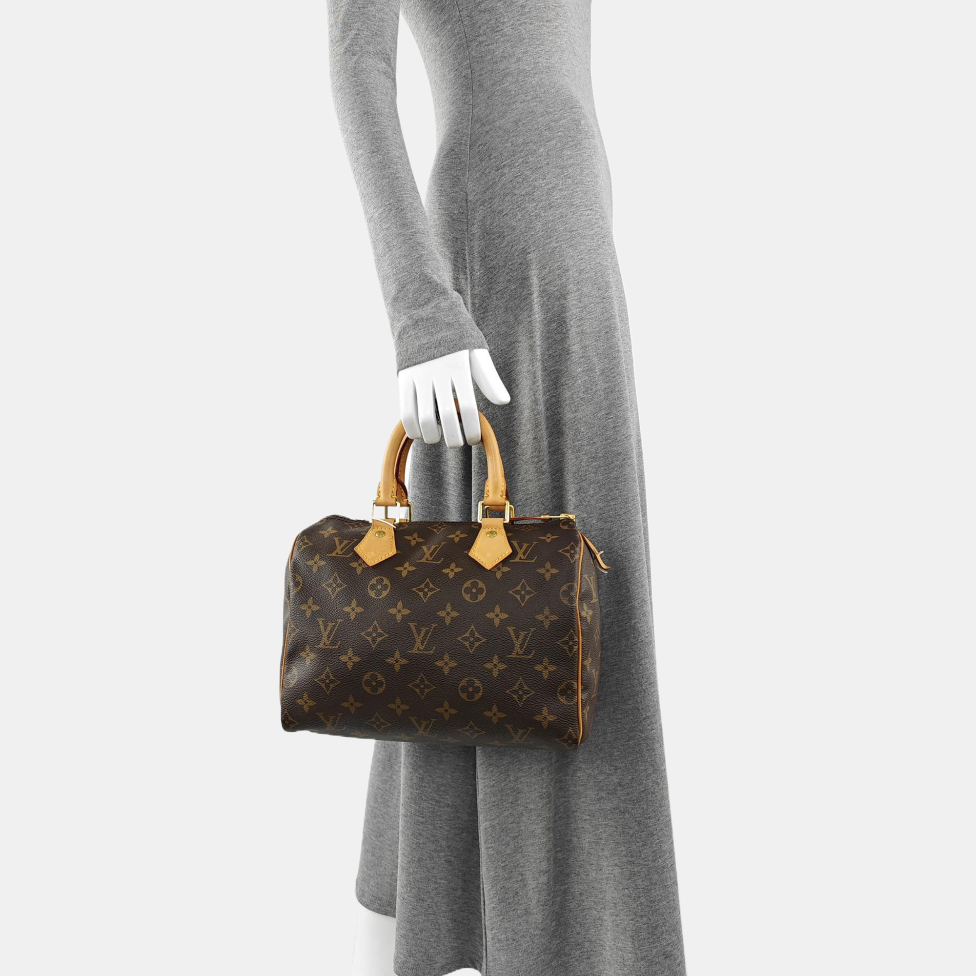 SPEEDY 25 Monogram Coated Canvas Brown