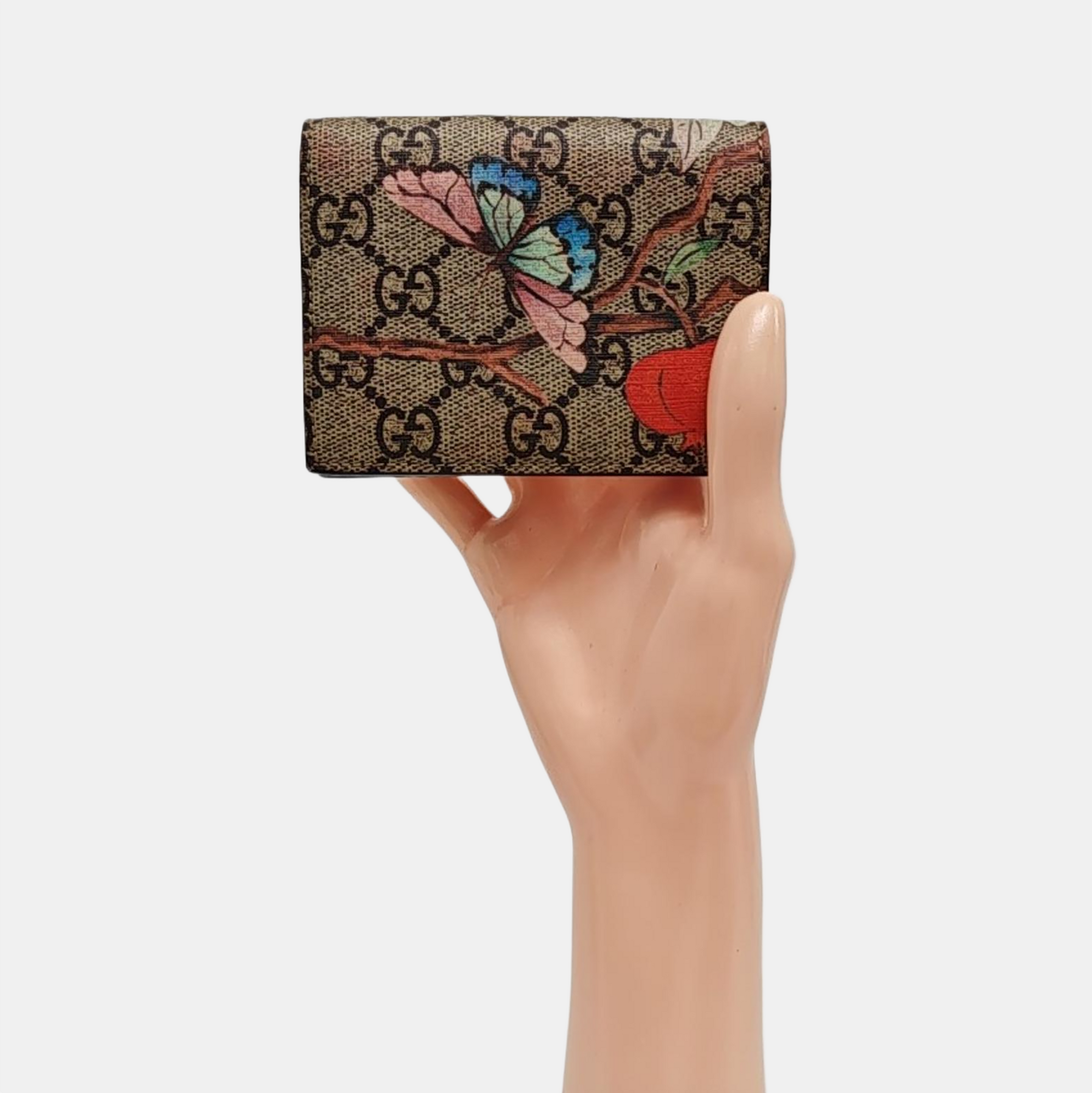 Tian Monogram Coated Canvas Beige Wallet