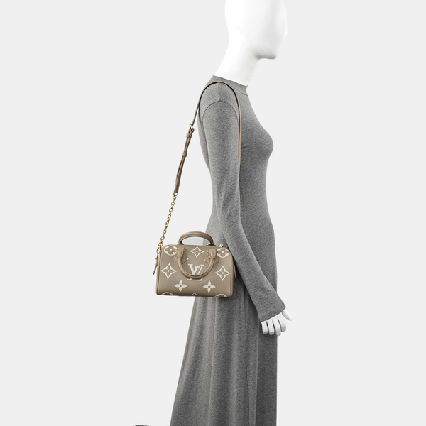 SPEEDY 20 Monogram Calfskin Gray