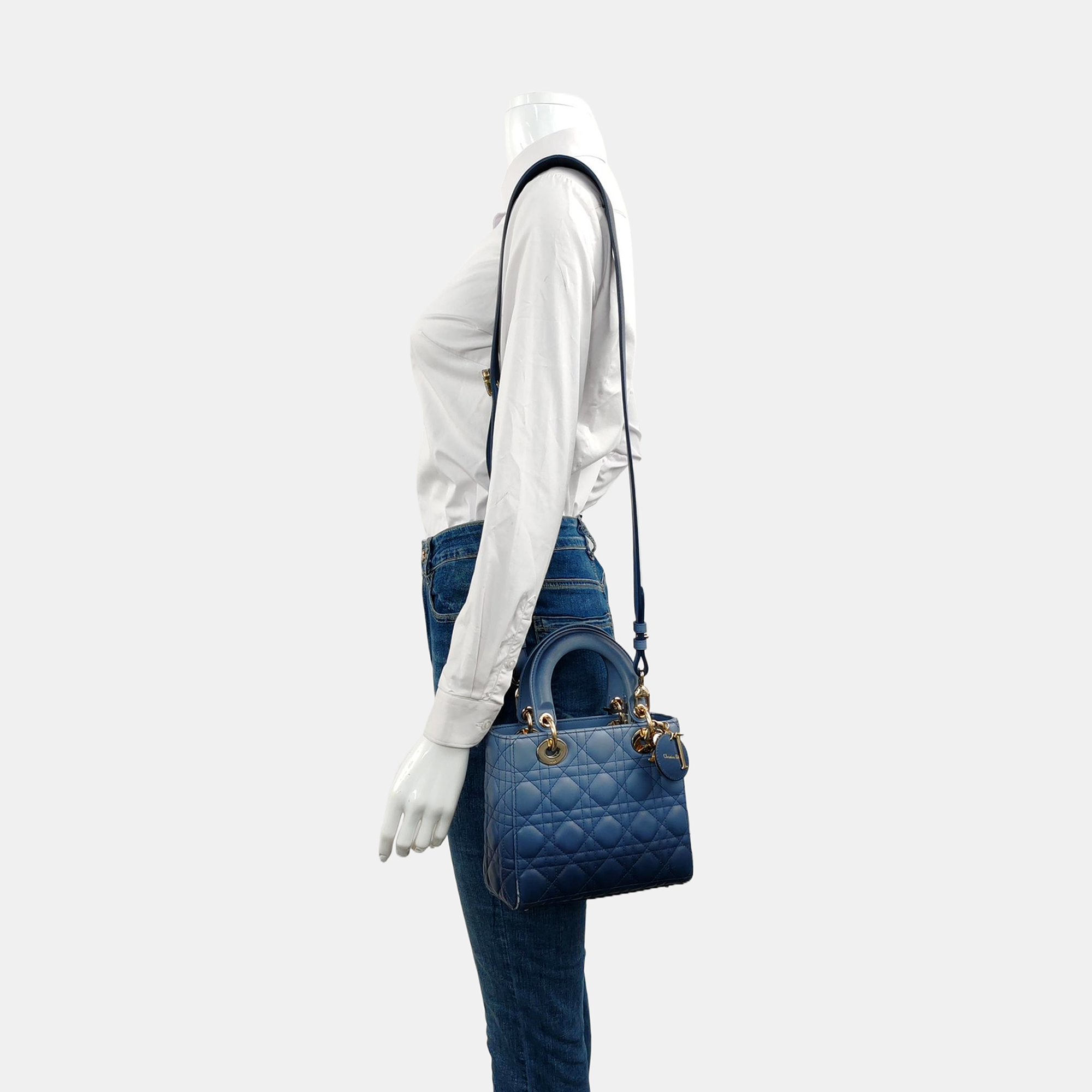 Authenticated pre-owned  Lady Dior Small Cannage Lambskin Multicolor - Tote Bag at Looply