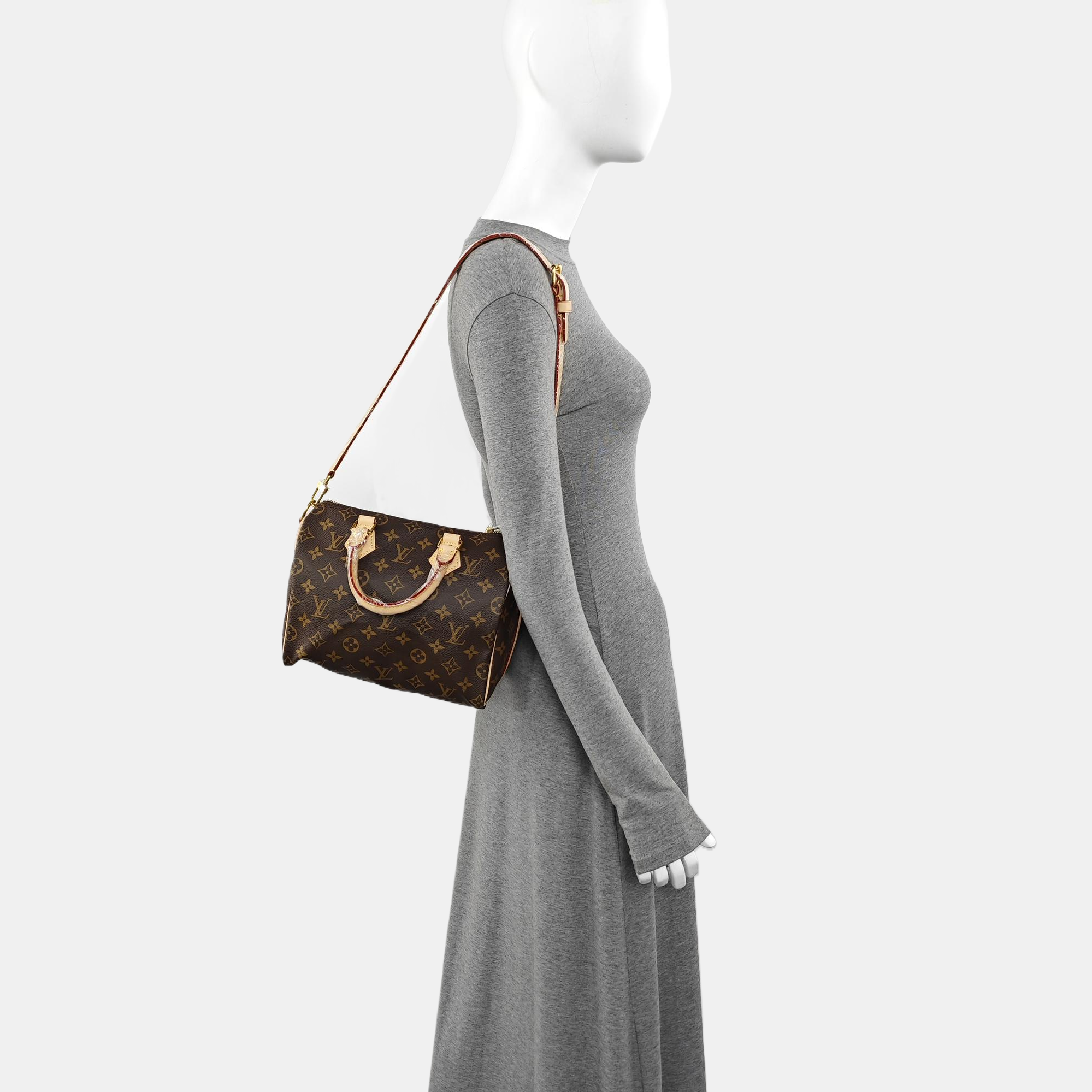 SPEEDY 25 Monogram Coated Canvas Brown
