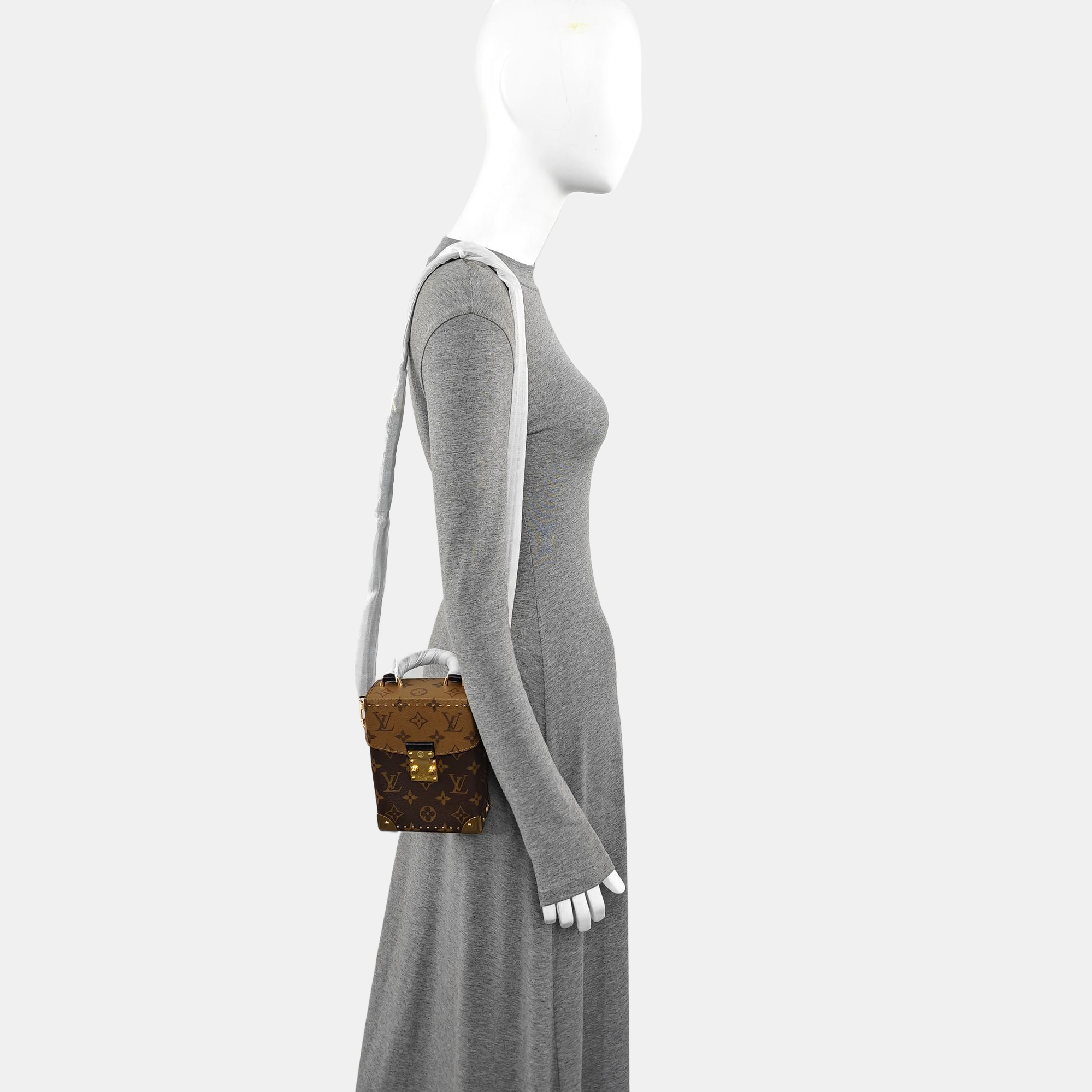 CAMERA BOX Monogram Coated Canvas Brown