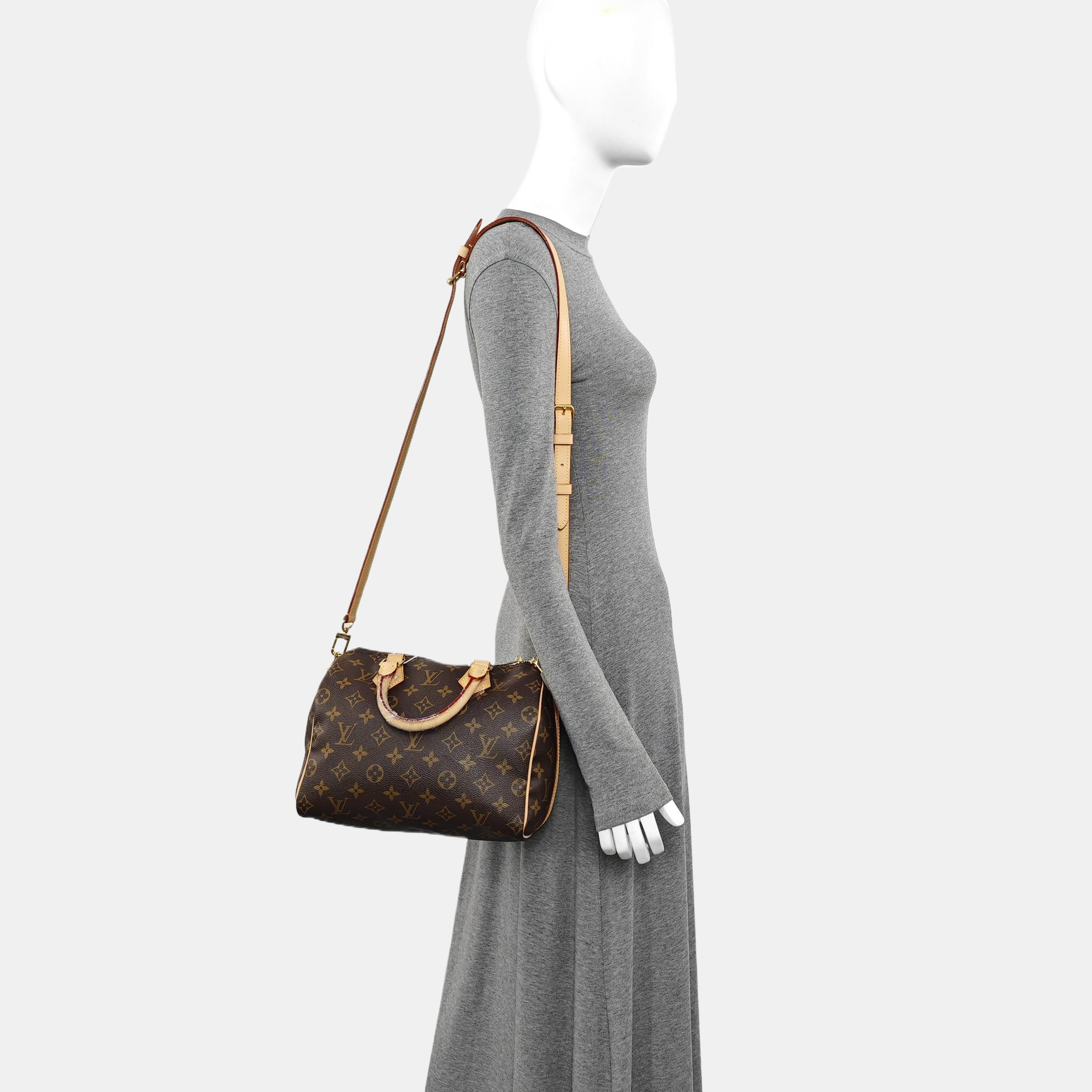 SPEEDY 25 Monogram Coated Canvas Brown