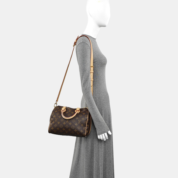 SPEEDY 25 Monogram Coated Canvas Brown