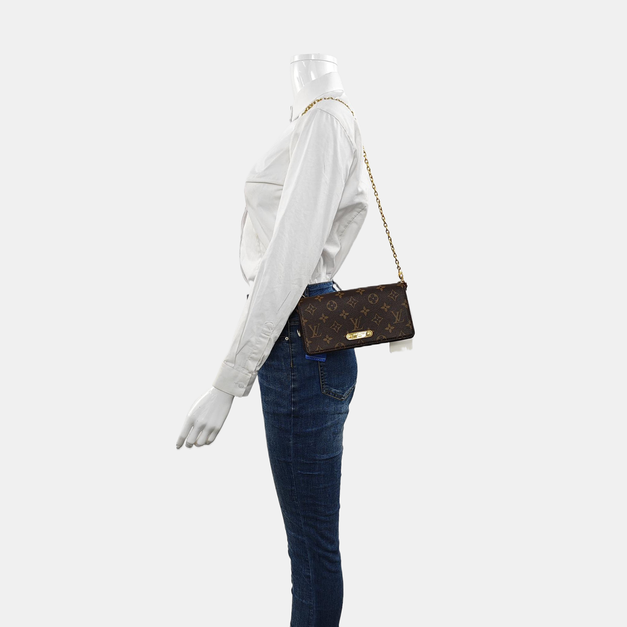Lily Monogram Coated Canvas Brown
