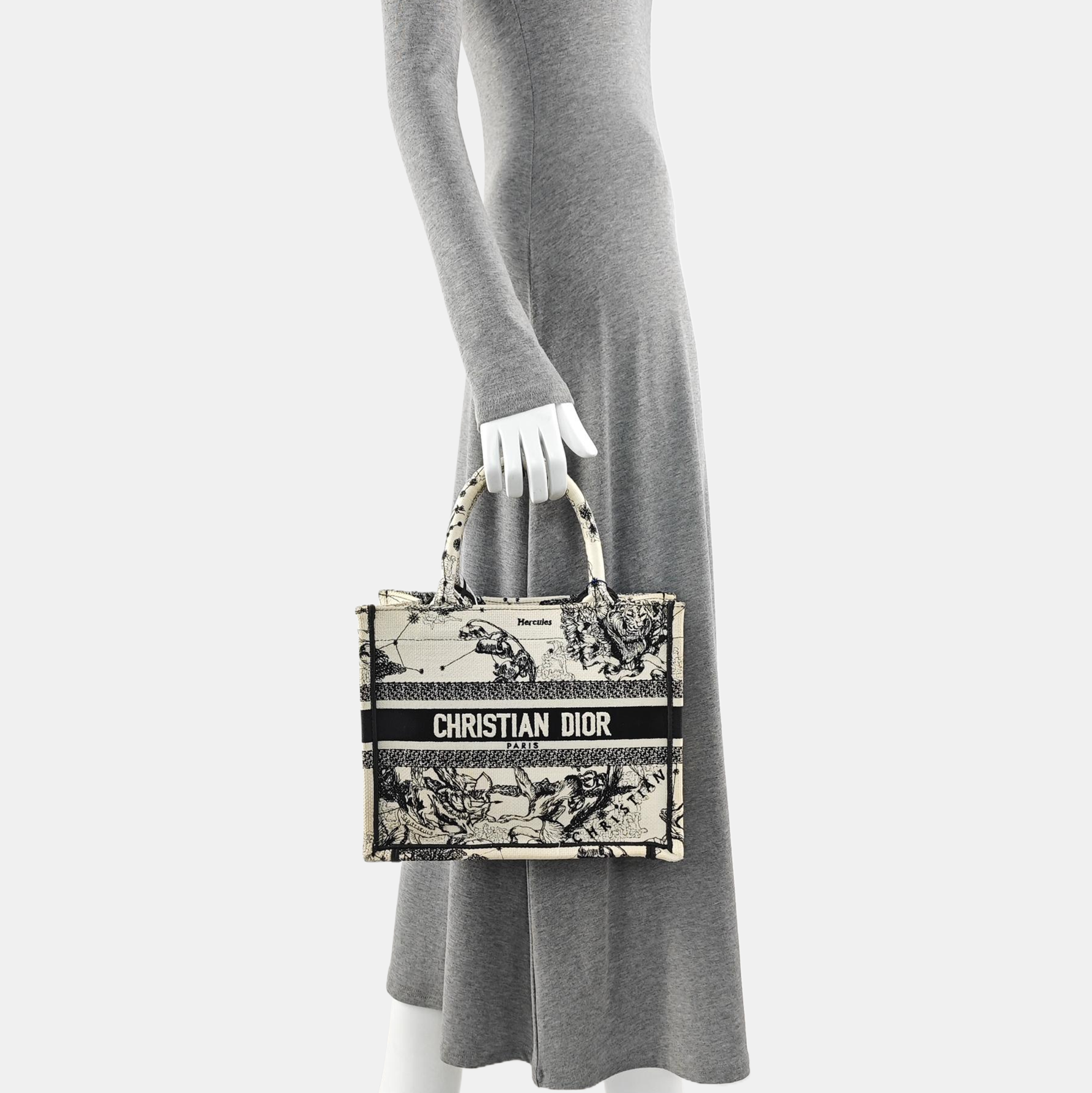 Book Tote Small Canvas White