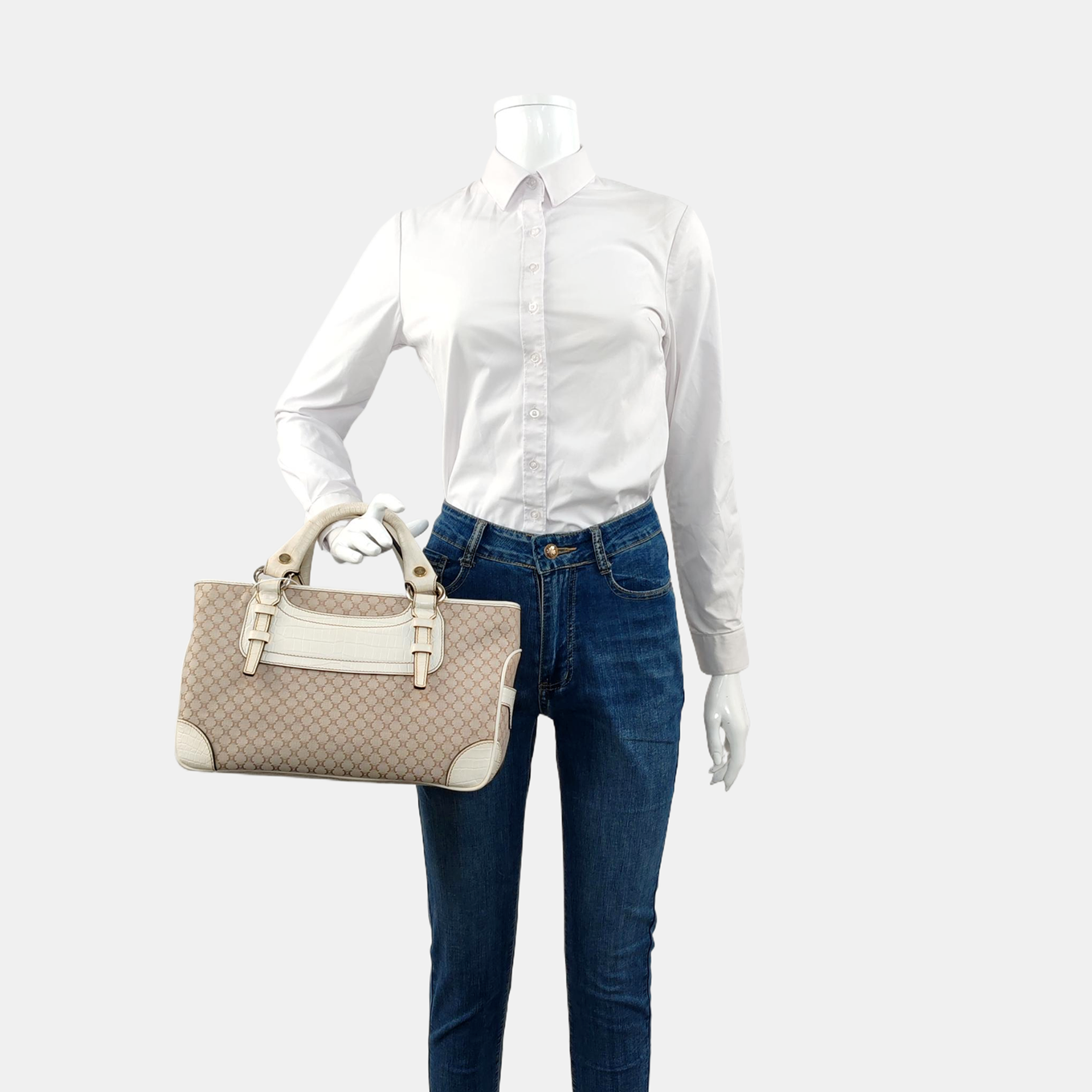 BOOGIE Canvas Beige