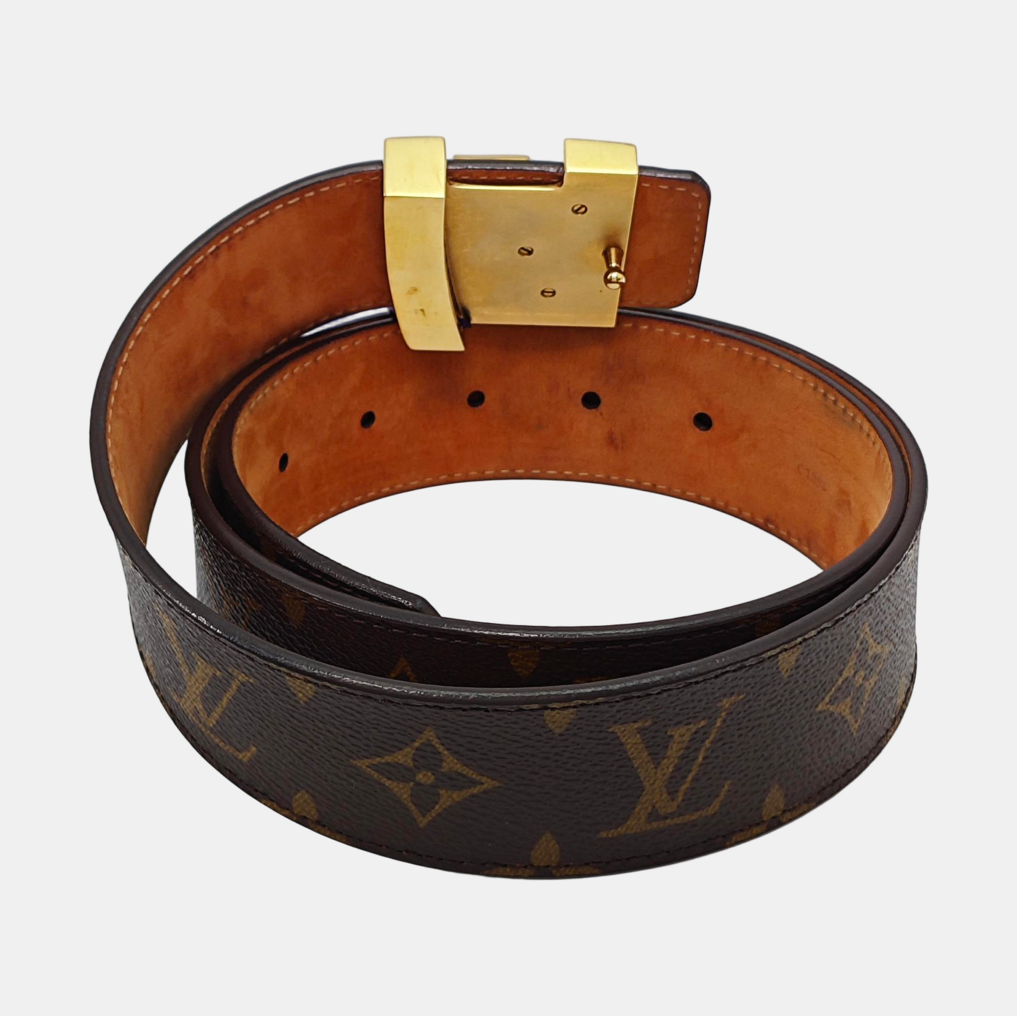 Coated Canvas Belt Brown