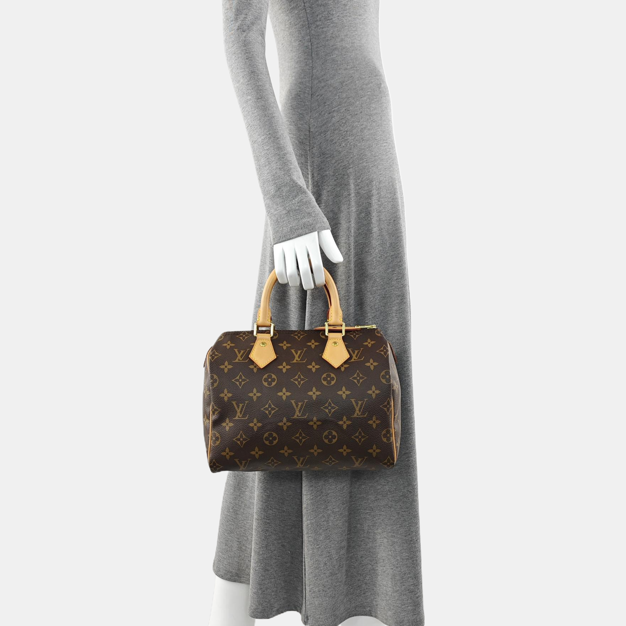 SPEEDY 25 Monogram Coated Canvas Brown