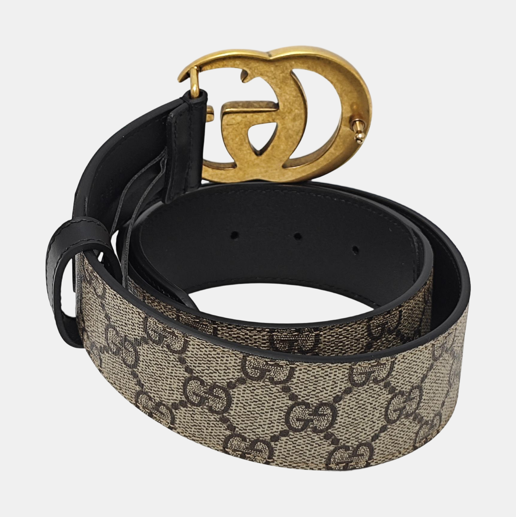 Coated Canvas Belt Beige