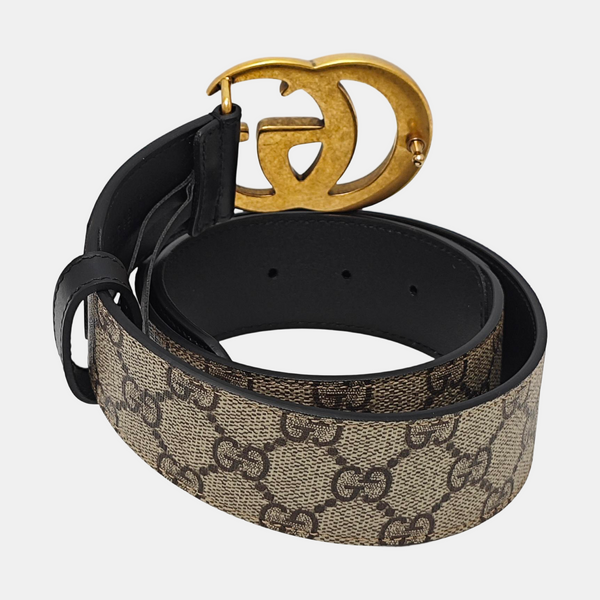 Coated Canvas Belt Beige