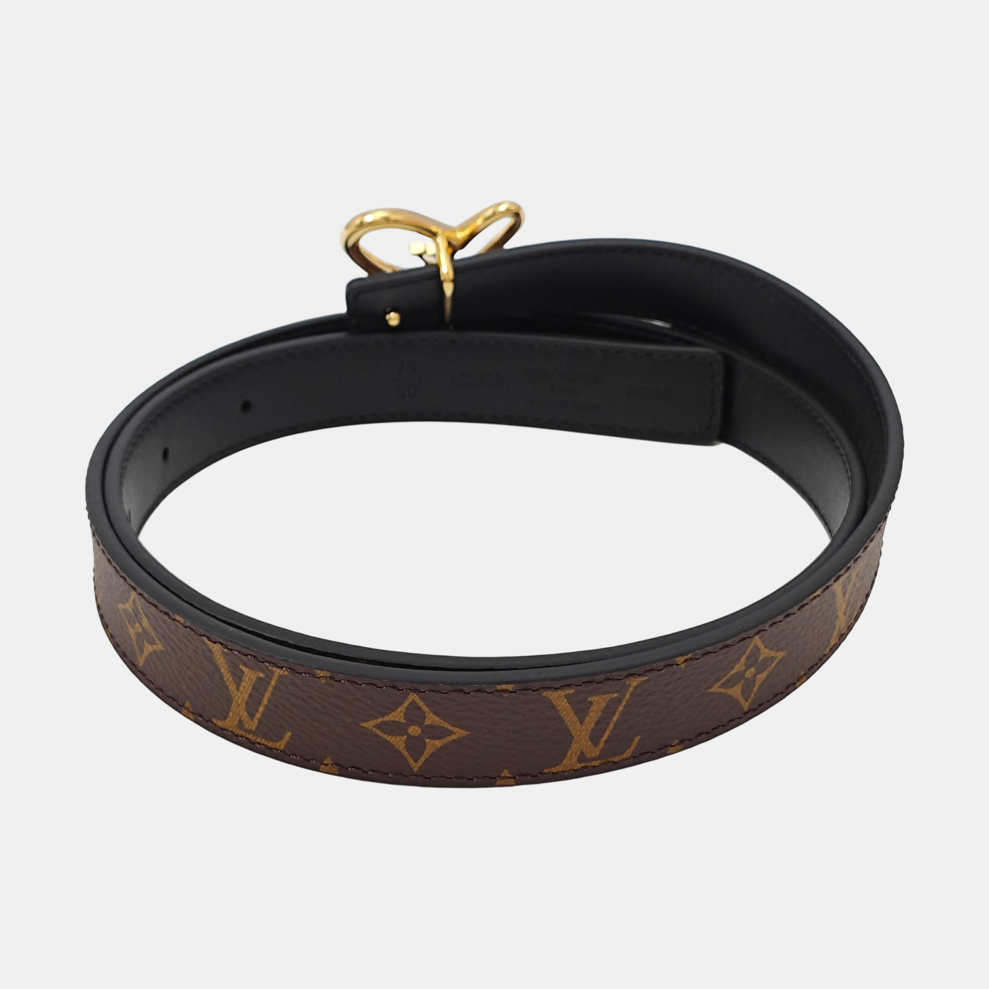 Coated Canvas Belt Brown