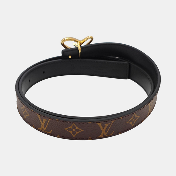 Coated Canvas Belt Brown