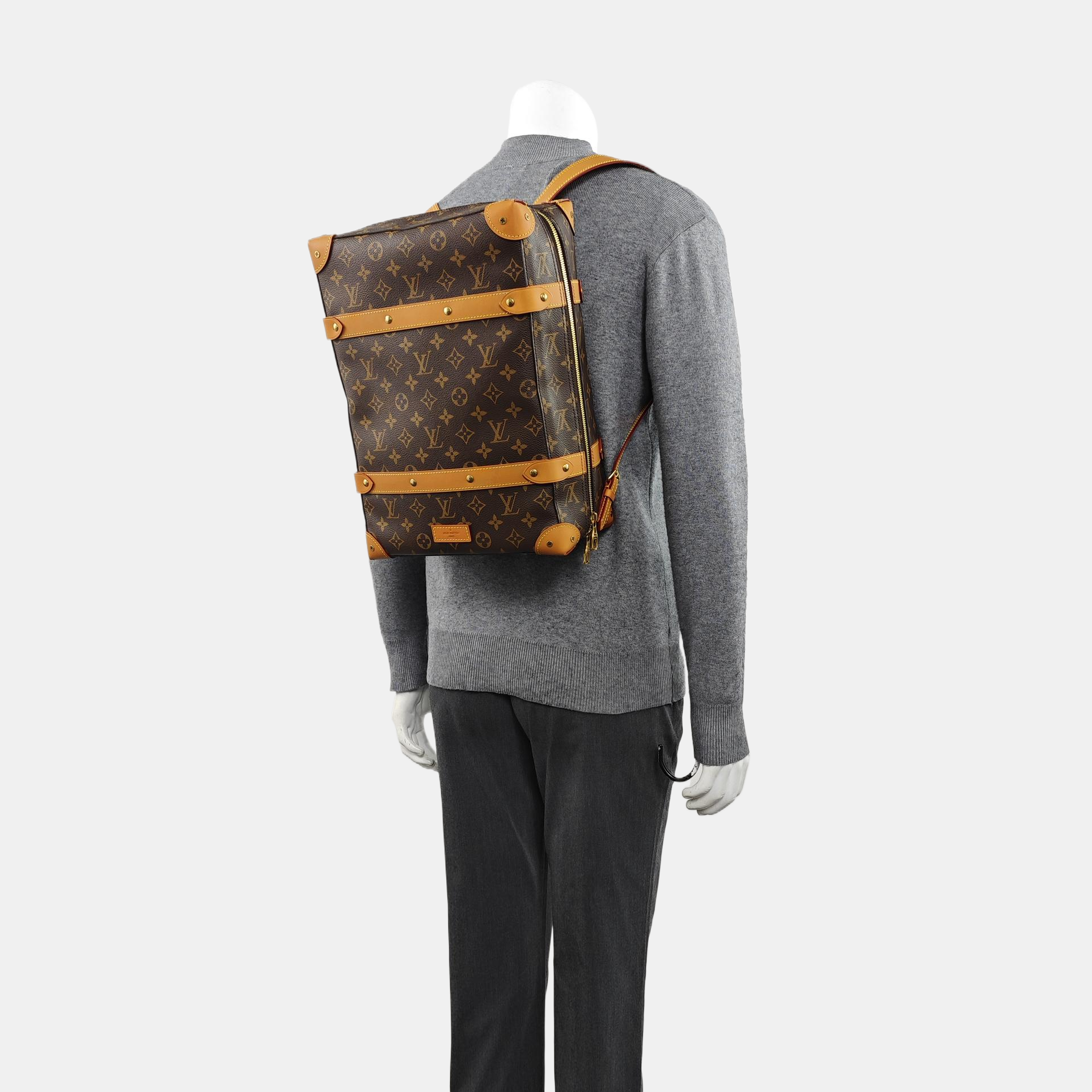 SOFT TRUNK PM Monogram Coated Canvas Brown